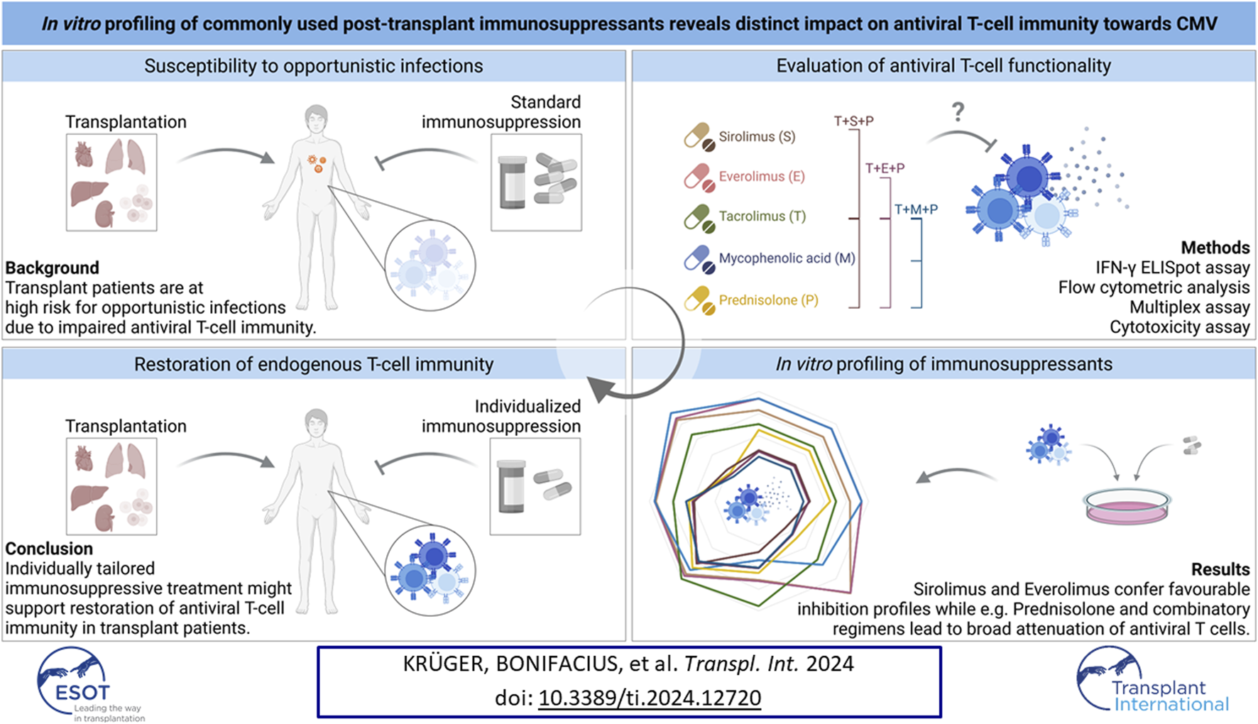 Graphical Abstract