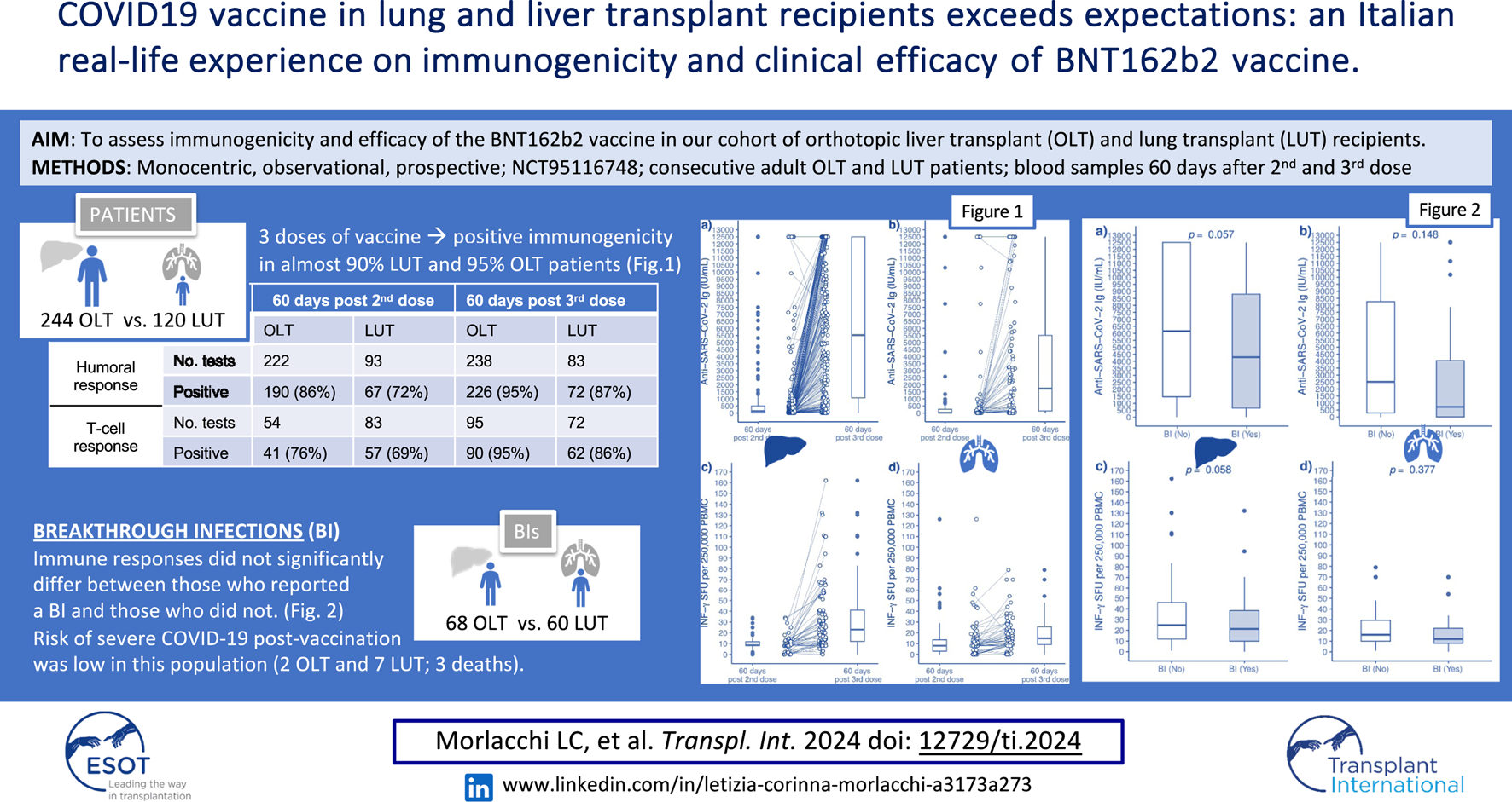Graphical Abstract