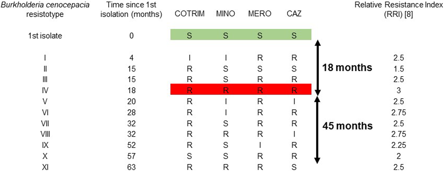 FIGURE 1