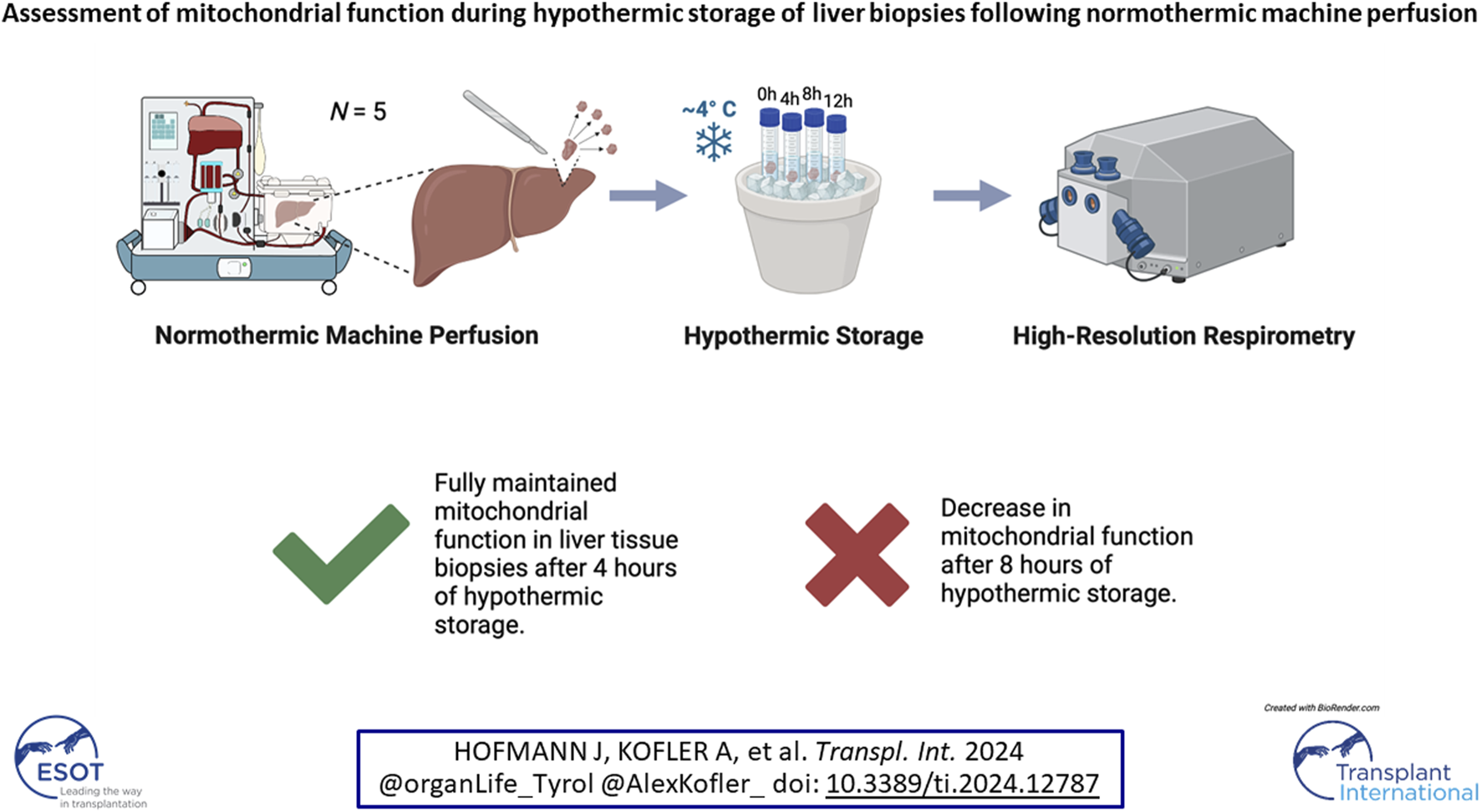 Graphical Abstract