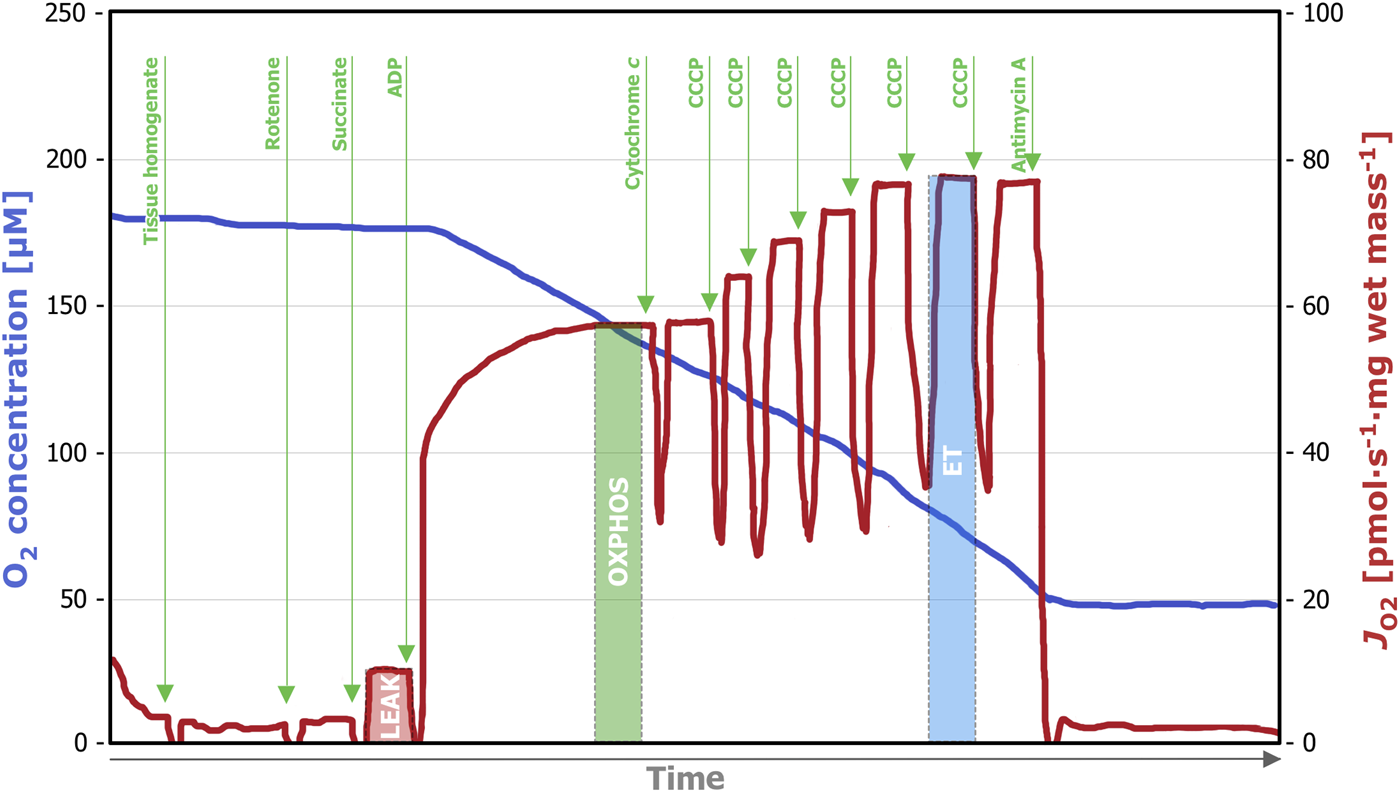 FIGURE 2