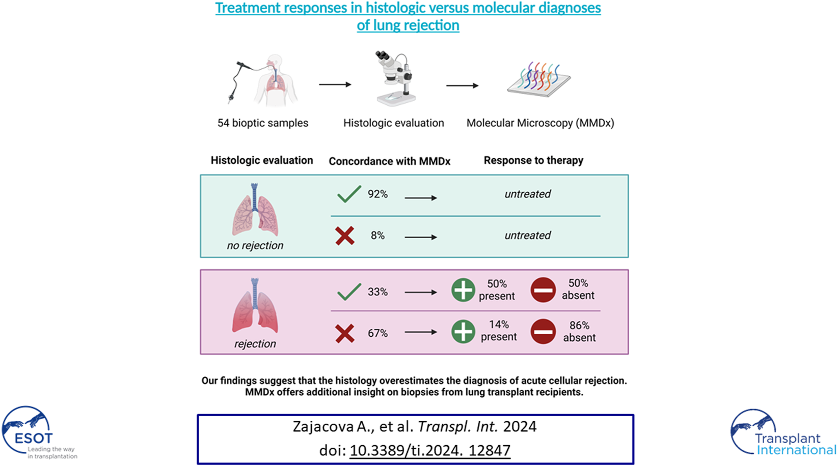 Graphical Abstract