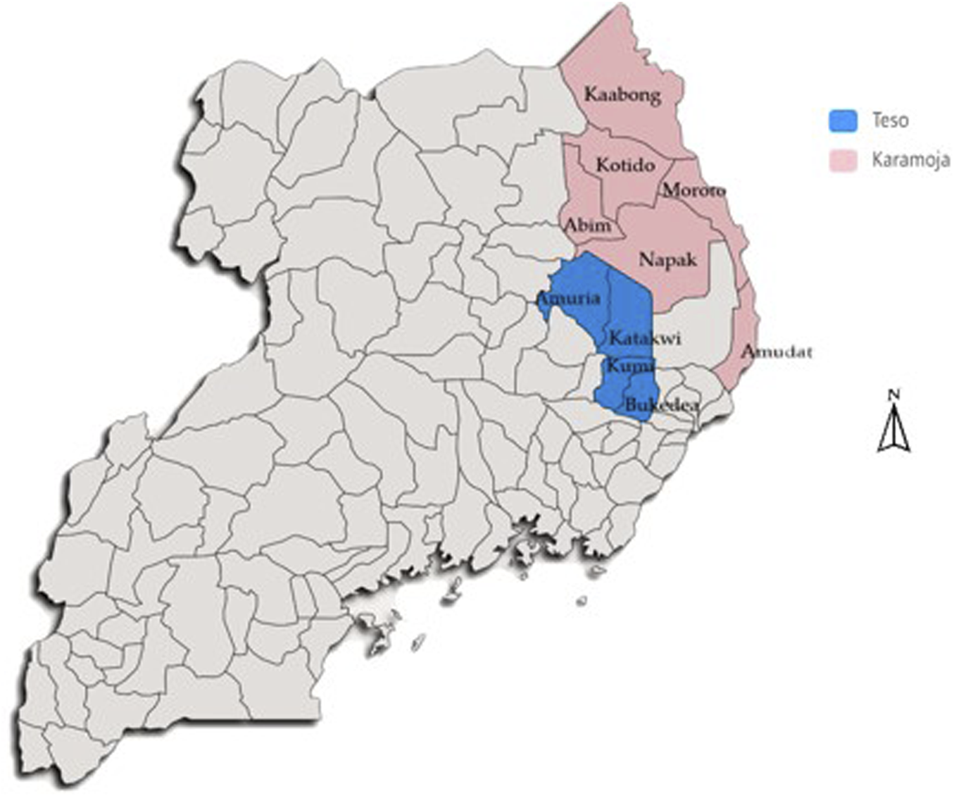 FIGURE 1