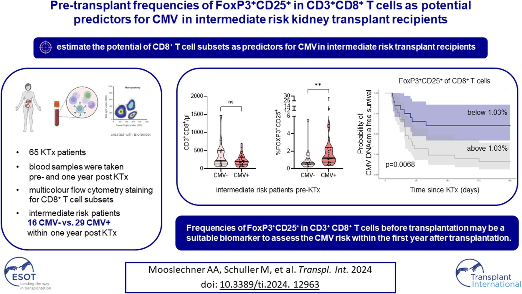 Graphical Abstract