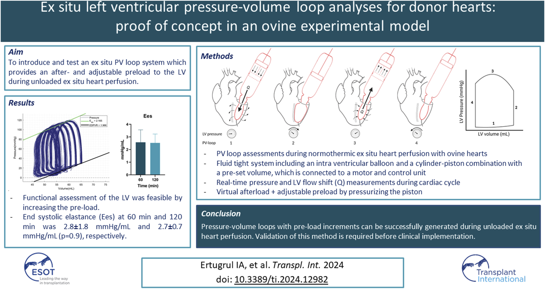 Graphical Abstract