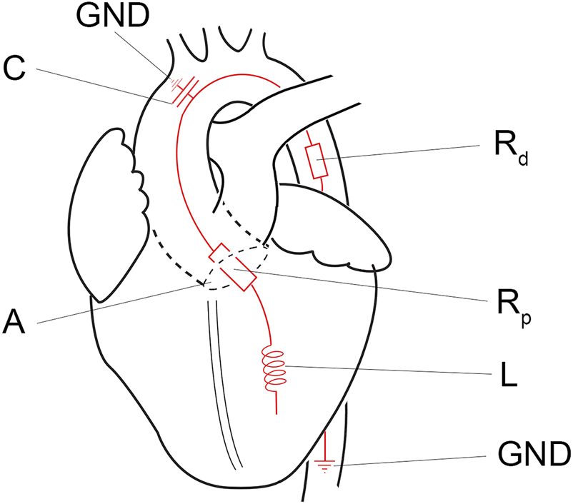 FIGURE 3