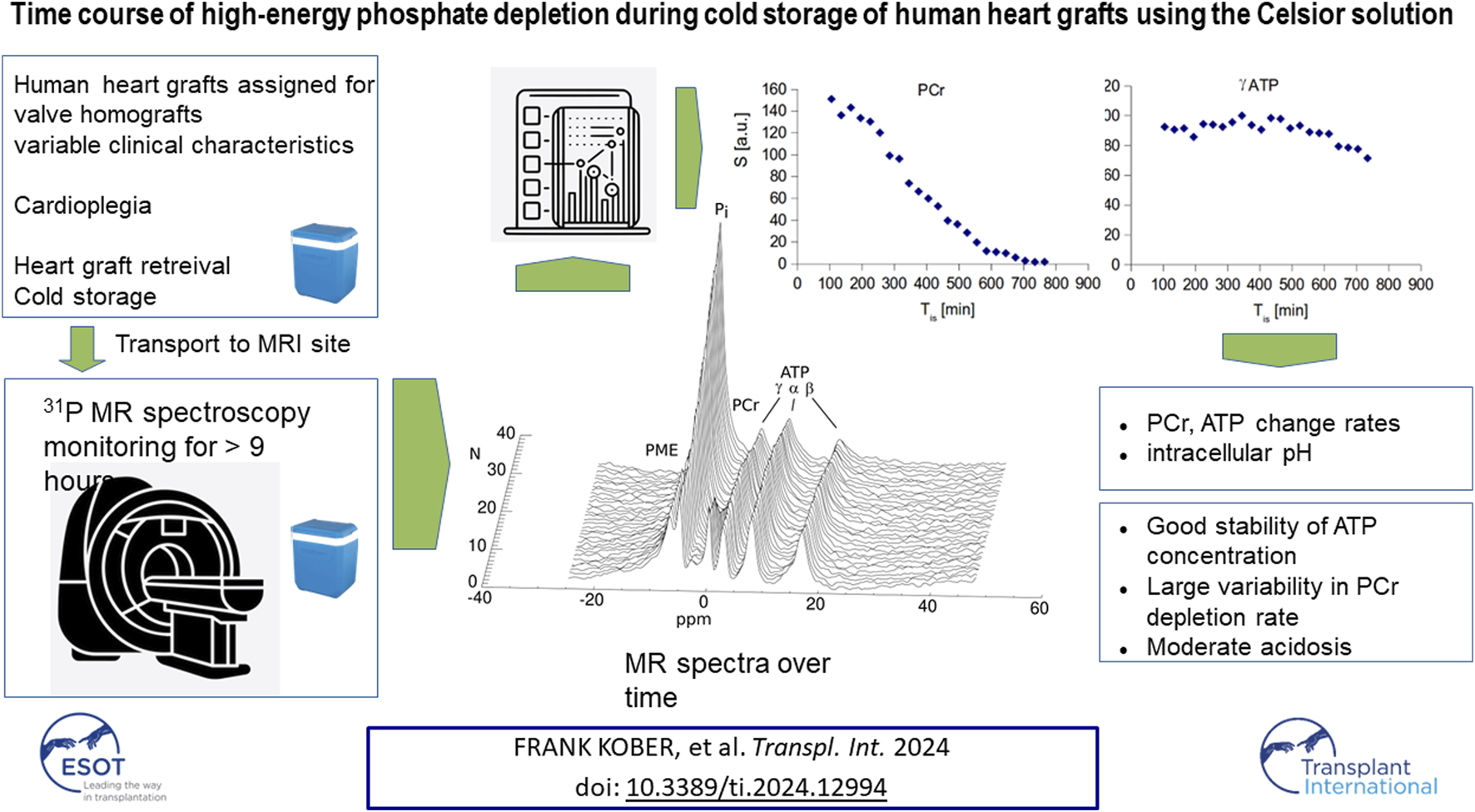 Graphical Abstract