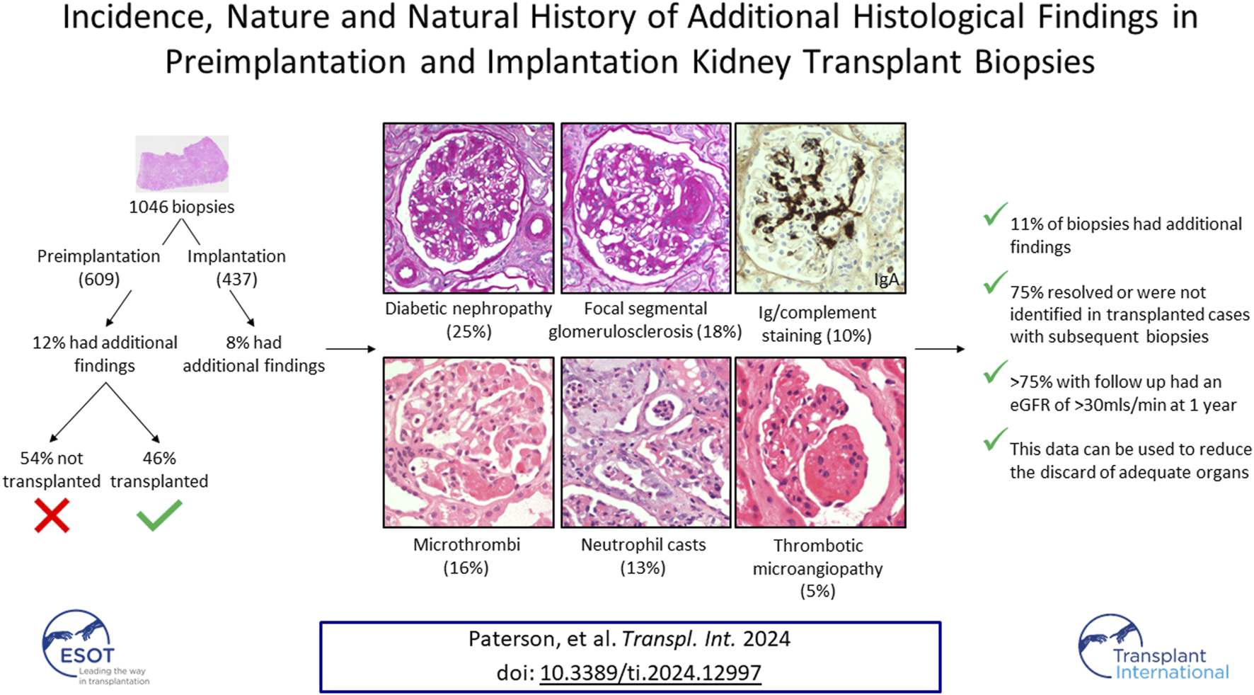 Graphical Abstract