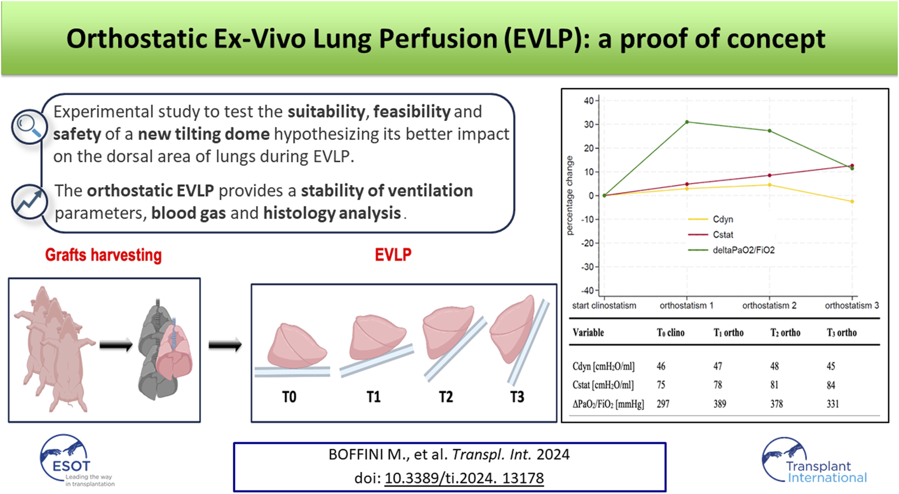 Graphical Abstract