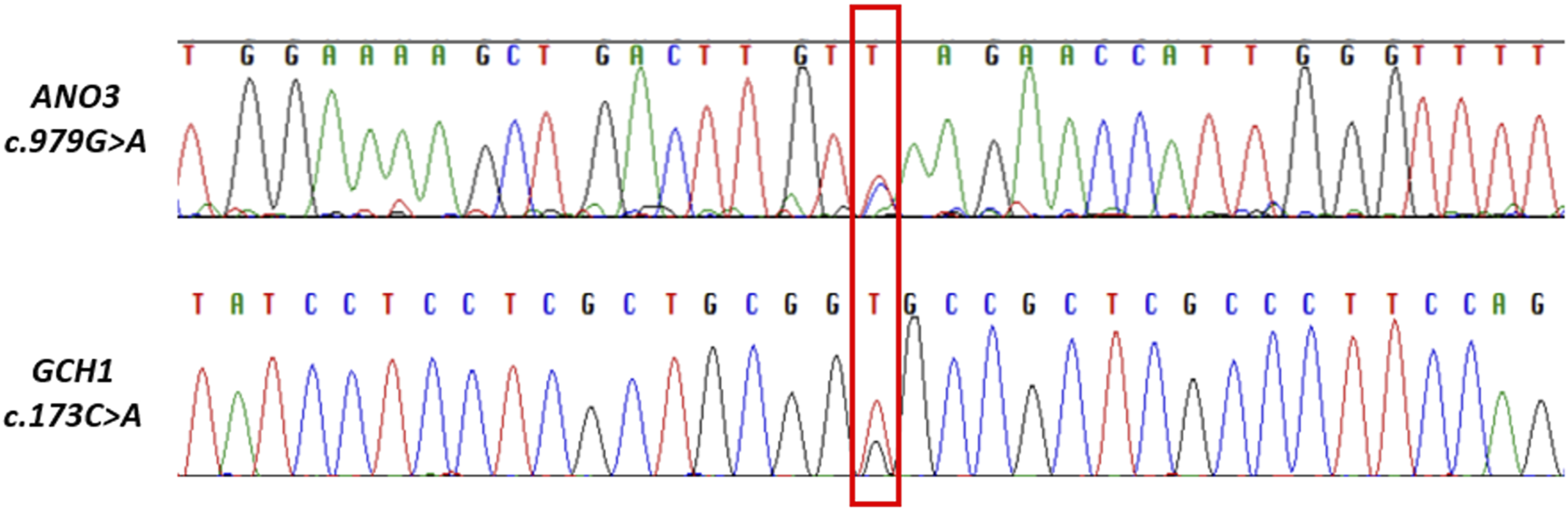 FIGURE 1