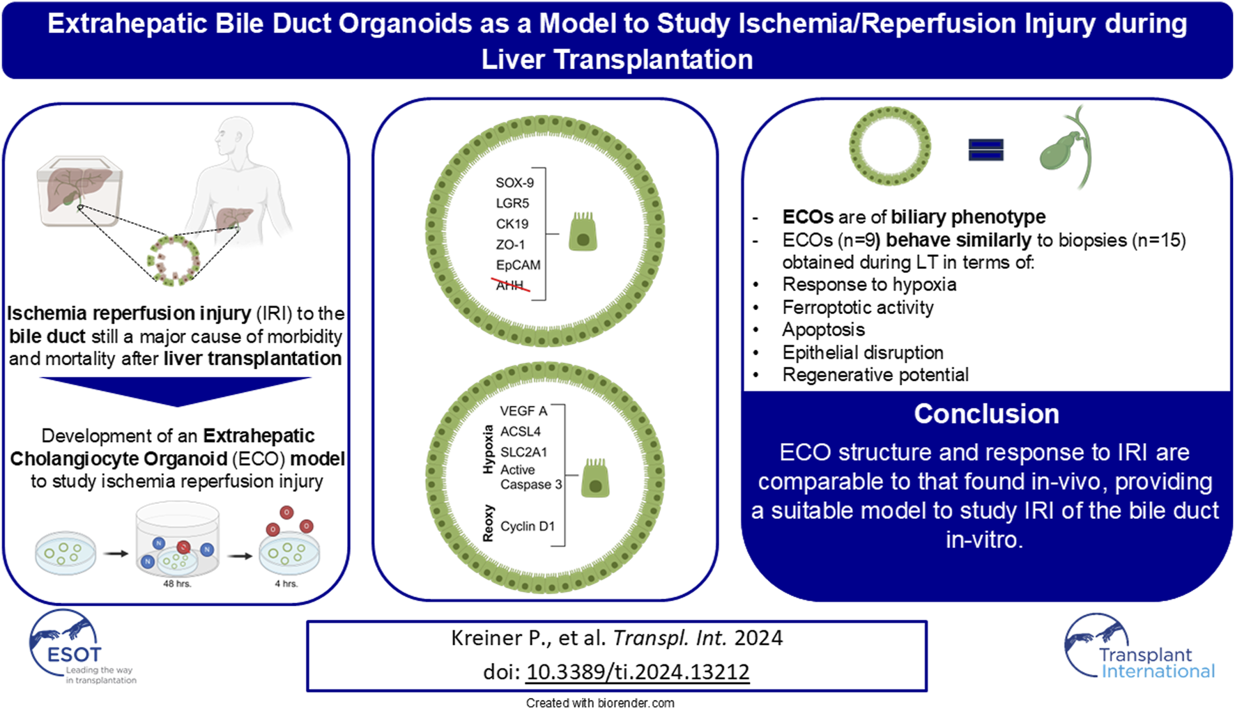 Graphical Abstract
