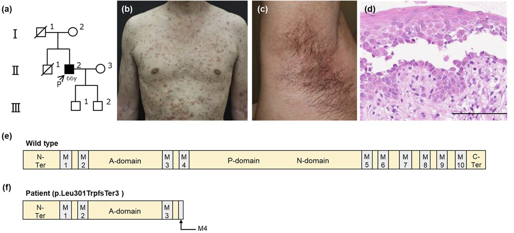 FIGURE 1