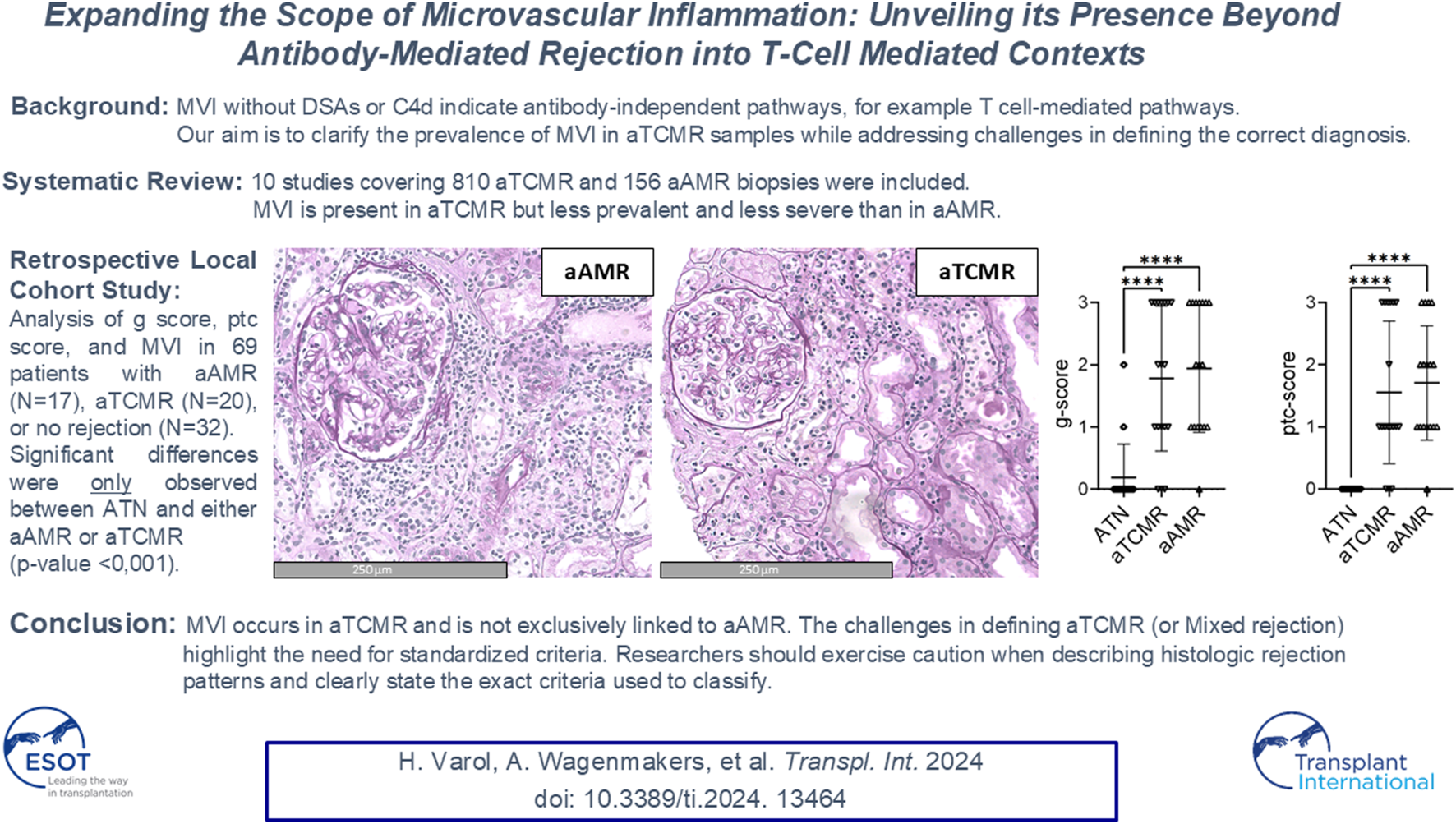 Graphical Abstract