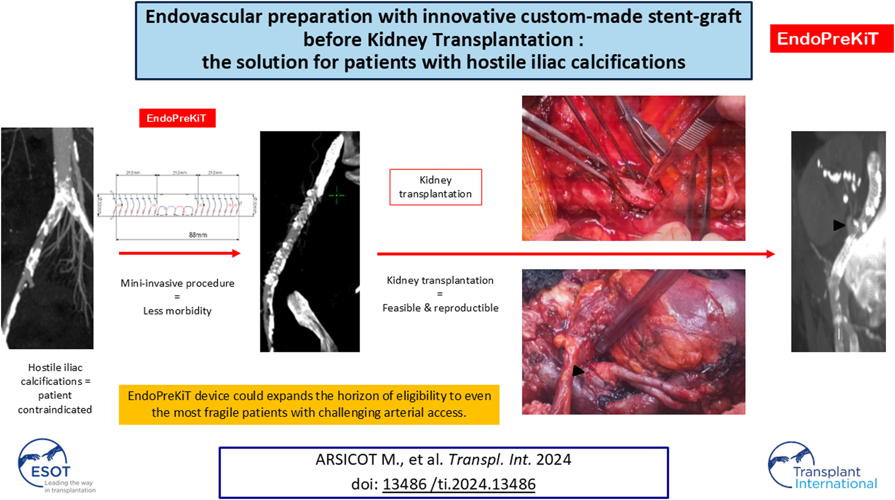 Graphical Abstract