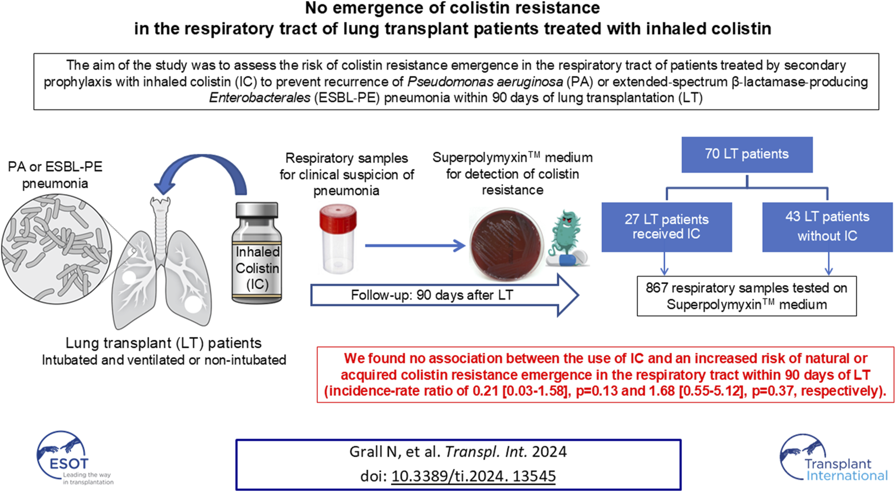 Graphical Abstract