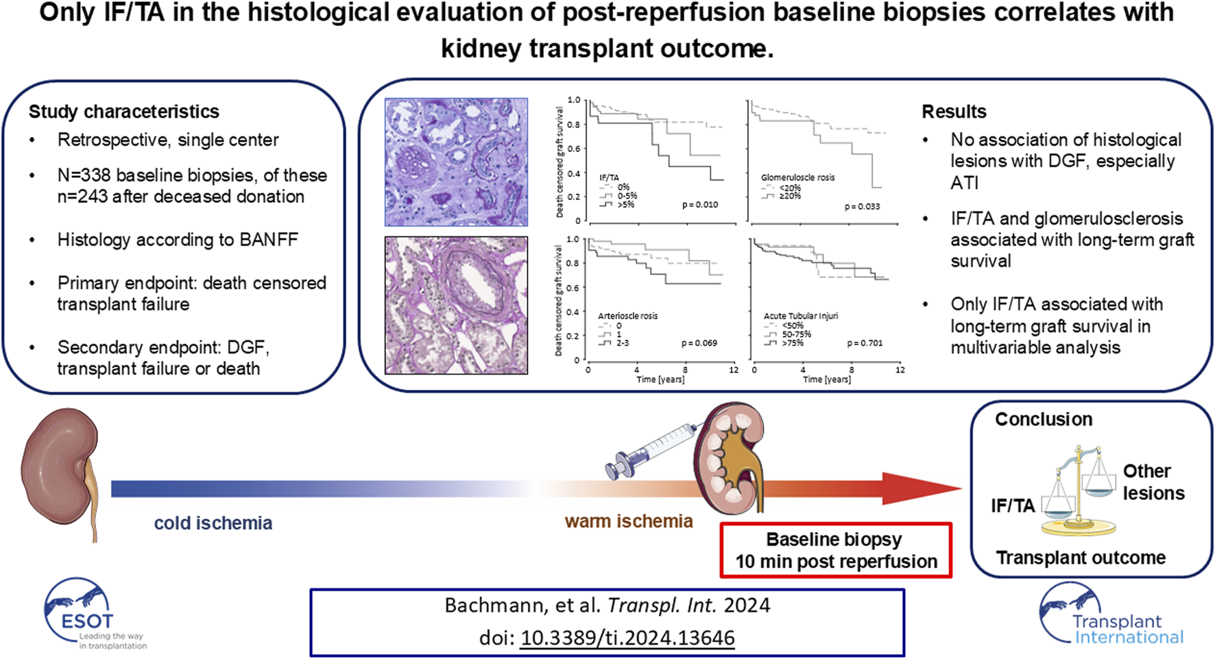 Graphical Abstract