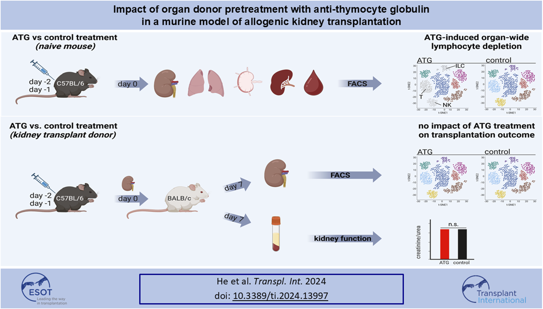 Graphical Abstract
