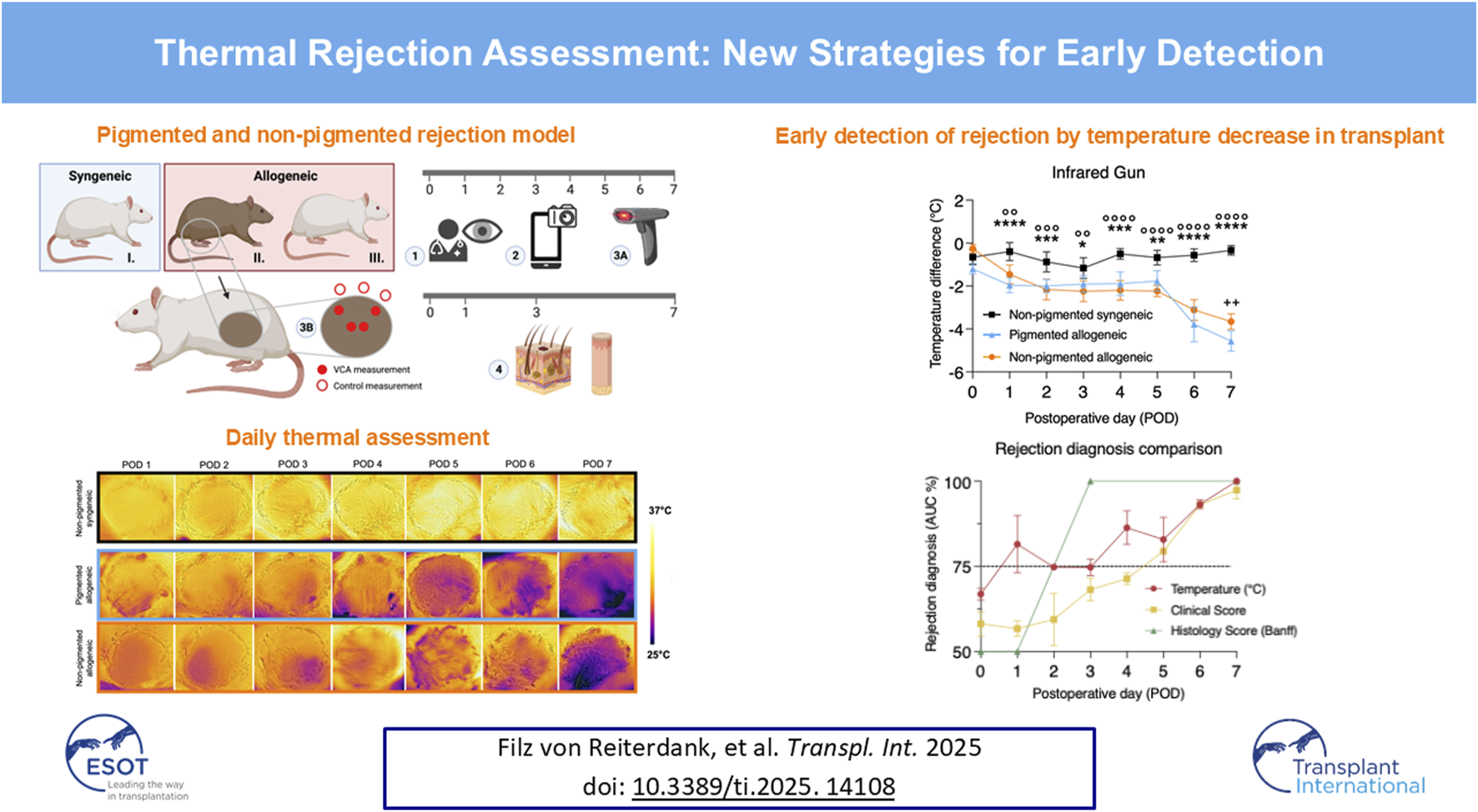 Graphical Abstract