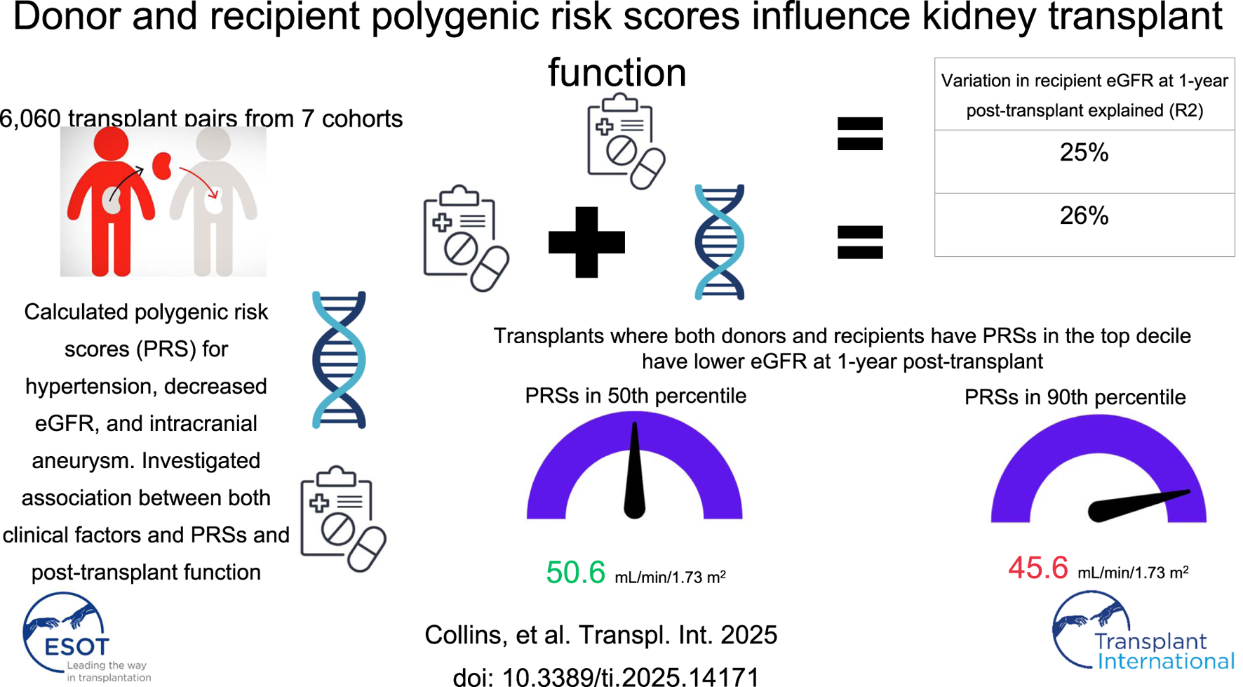 Graphical Abstract