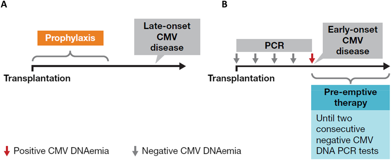 Diagram comparing preventive strategies for CMV disease post-transplantation. Panel A shows prophylaxis. Panel B illustrates pre-emptive therapy initiated after positive CMV DNAemia detected by PCR, continuing until two consecutive negative PCR tests. Positive and negative CMV DNAemia are represented by red and gray arrows, respectively.