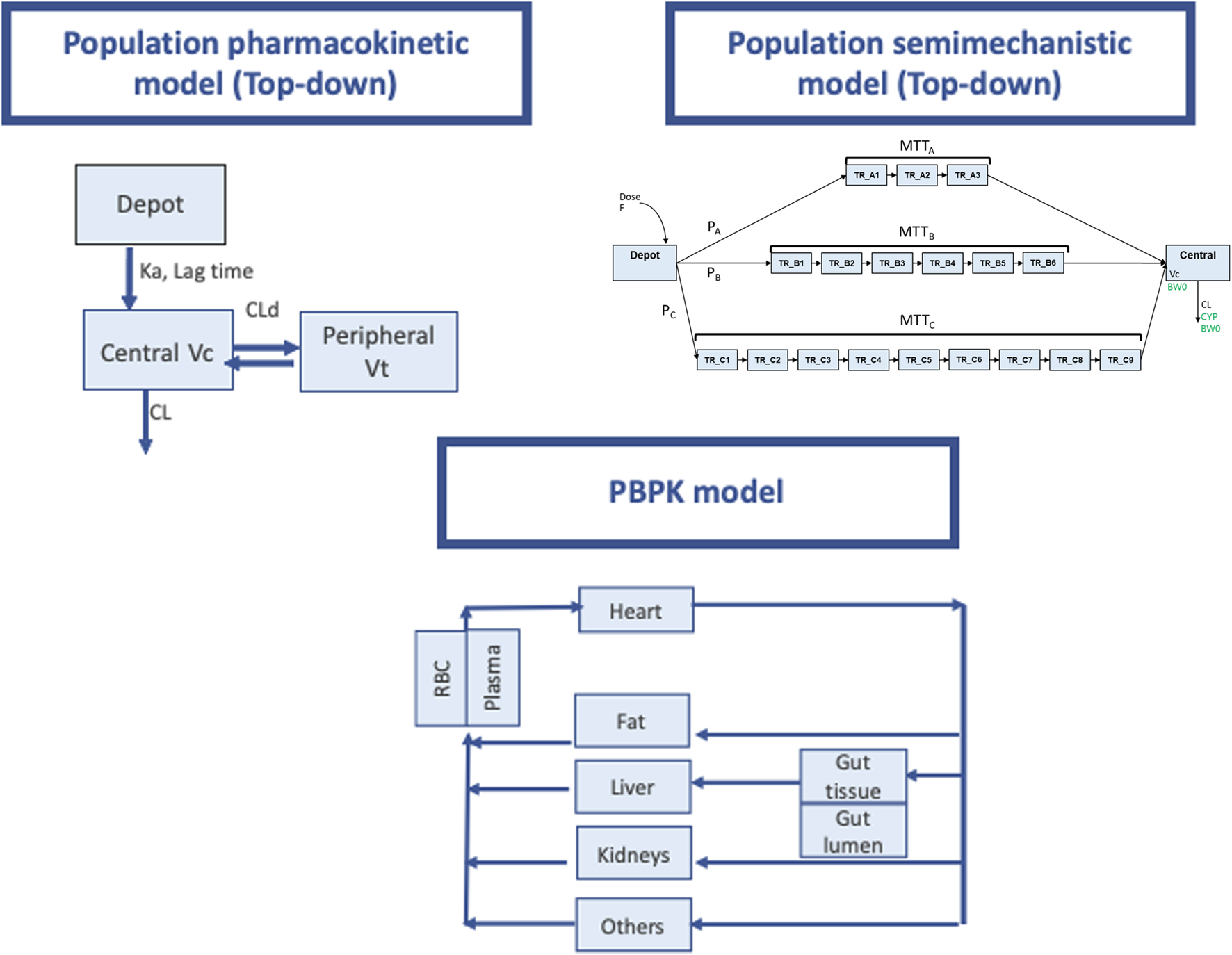 Flowcharts comparing three pharmacokinetic models. Top left: Population pharmacokinetic model with Depot, Central Vc, and Peripheral Vt components. Top right: Population semimechanistic model with components MTTa, MTTb, MTTc linked to Central. Bottom: PBPK model showing the Heart, Fat, Liver, Kidneys, and others interacting with Gut tissue and lumen.