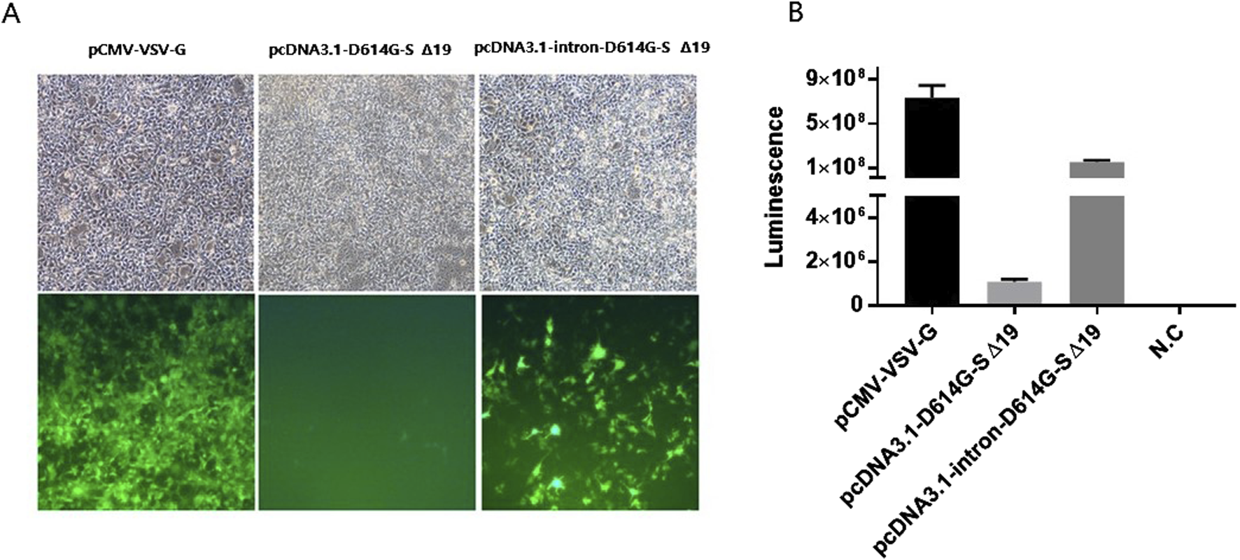 FIGURE 4