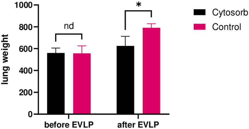 Bar graph comparing lung weights before and after EVLP for Cytosorb and Control groups. Before EVLP, weights are similar. After EVLP, Control group lung weight increases significantly compared to Cytosorb.
