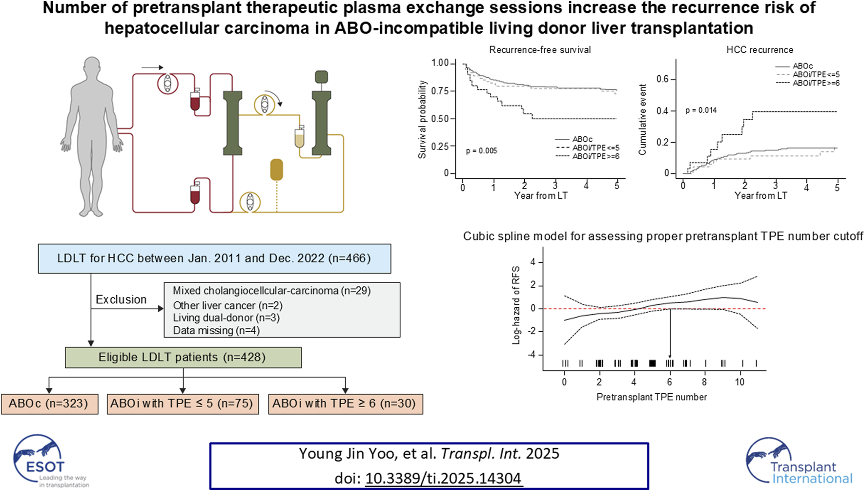Graphical Abstract