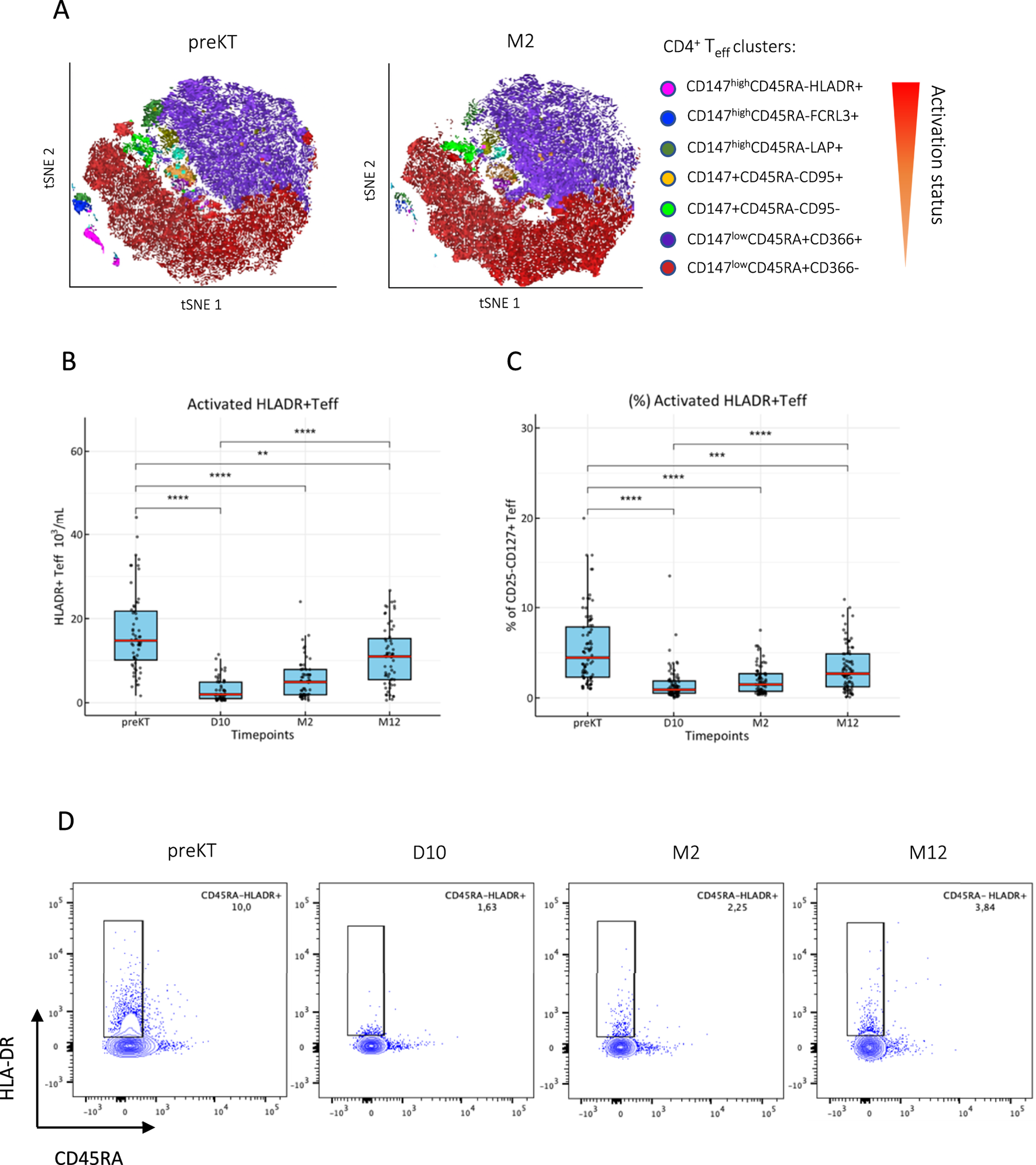 (A) t-SNE plots showing CD4+ T cell clusters with color-coded activation status before kidney transplant (preKT) and at month 2 (M2). (B) Box plots demonstrating activated HLA-DR+ T effector cells per milliliter across different time points with statistical significance. (C) Box plots of the percentage of activated HLA-DR+ T effector cells across time points, showing significant differences. (D) Flow cytometry plots displaying CD45RA and HLA-DR expression in CD4+ T cells at preKT, day 10 (D10), month 2 (M2), and month 12 (M12), indicating changes in expression over time.