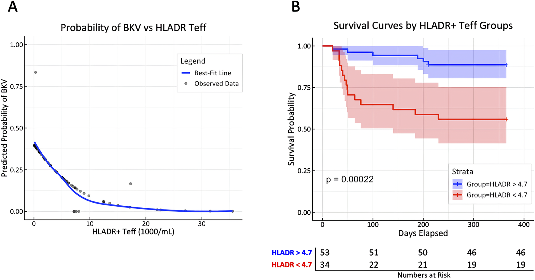 Panel A displays a graph of predicted probability of BKV versus HLADR Teff, showing a downward-sloping blue best-fit line with grey dots representing observed data. Panel B includes survival curves by HLADR+ Teff groups, with two curves: red for HLADR less than 4.7 and blue for HLADR greater than 4.7. The blue group shows higher survival probability over time. P-value is 0.00022, and numbers at risk are listed below for each group.