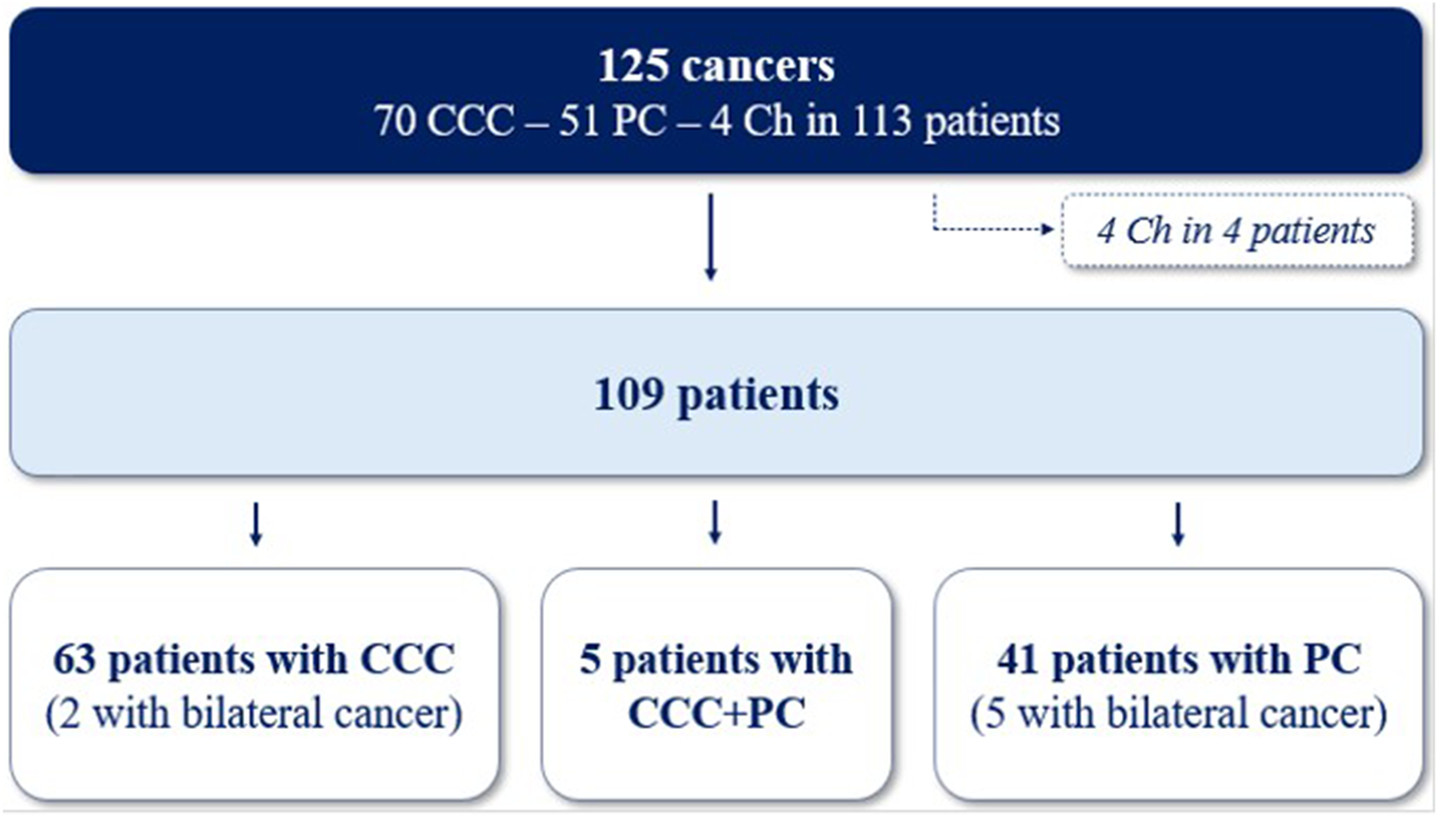 Flowchart depicting cancer distribution among patients. Out of 125 cancers: 70 CCC, 51 PC, and 4 Ch in 113 patients. Four Ch in four patients are noted separately. Among 109 patients: 63 have CCC (2 with bilateral cancer), 5 have both CCC and PC, and 41 have PC (5 with bilateral cancer).