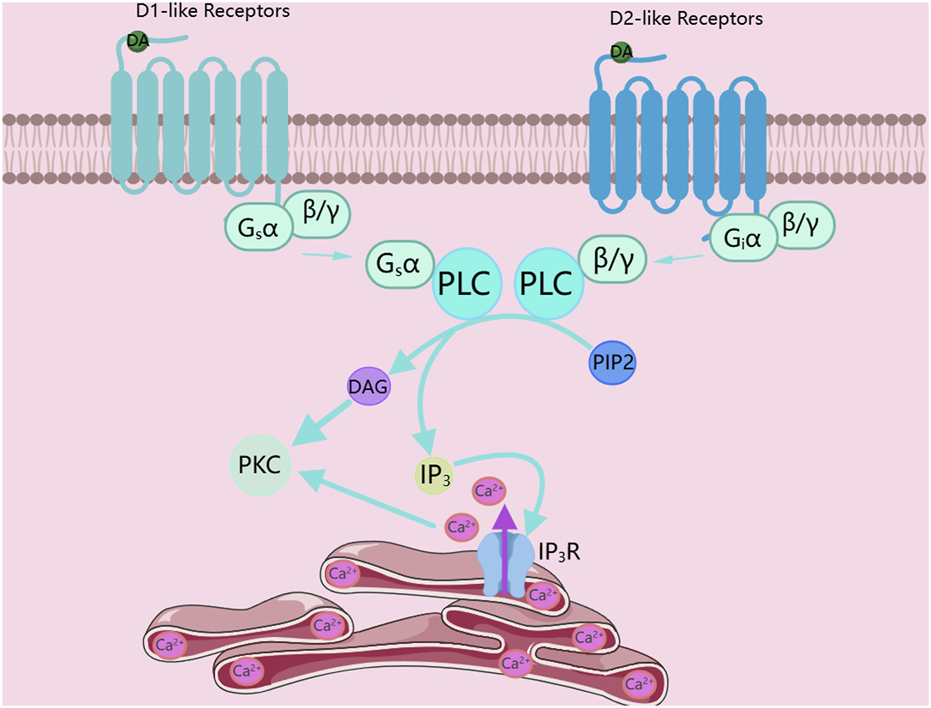 FIGURE 1