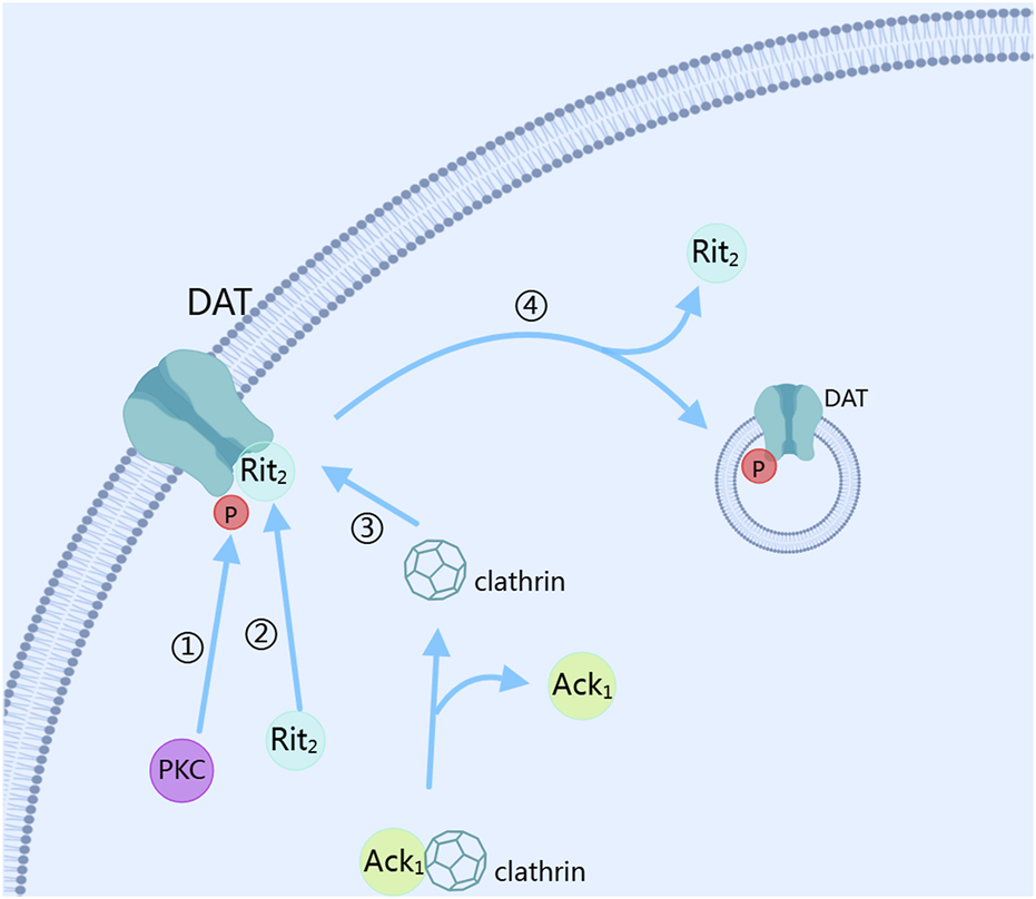 FIGURE 3