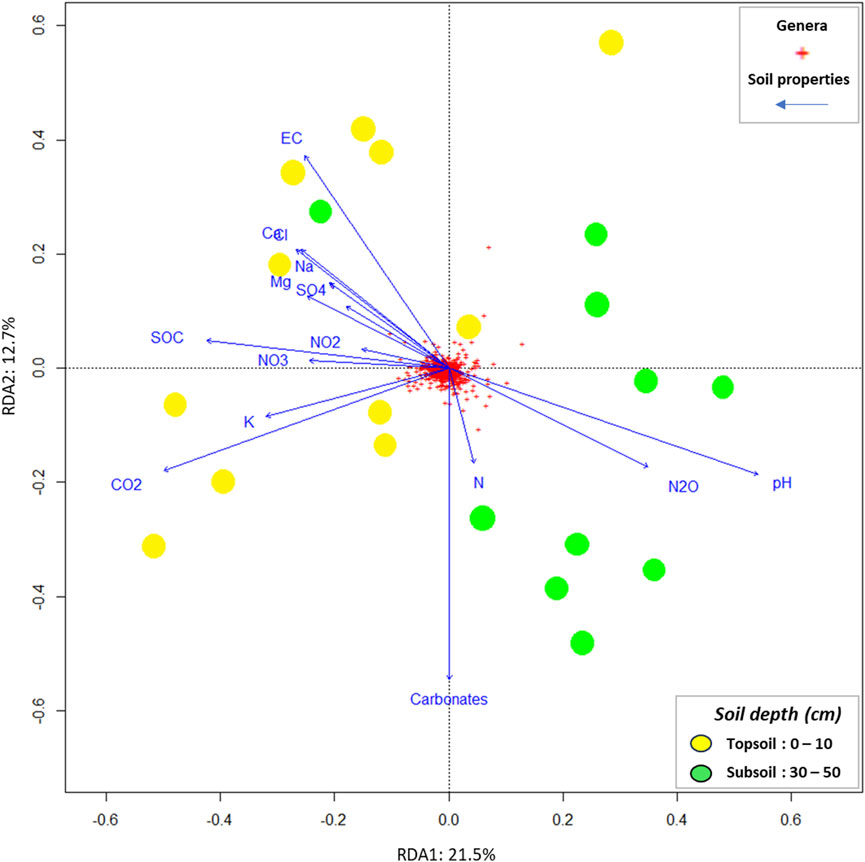 Redundancy analysis (RDA) plot showing soil properties and microbial genera distribution. Arrows represent soil properties like pH and carbonates. Yellow and green circles indicate topsoil and subsoil samples, respectively. Red crosses represent microbial genera. The axes are labeled RDA1 and RDA2, with percentage values of variance explained. A legend explains colors and sample depths.