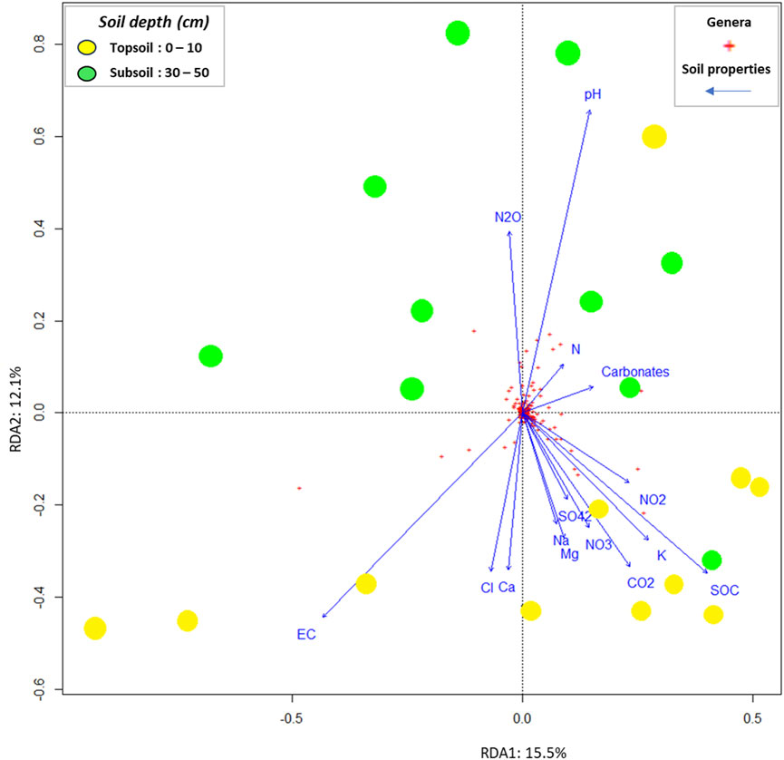 Biplot showing redundant analysis (RDA) with soil properties and genera. Yellow circles represent topsoil (0-10 cm), and green circles represent subsoil (30-50 cm). Arrows indicate soil properties like pH, carbonates, nitrogen compounds, and others, while red plus signs represent genera. RDA1 and RDA2 axes account for 15.5% and 12.1% of variance, respectively.