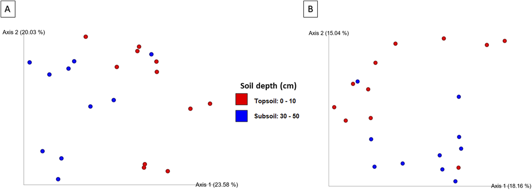 Scatter plots labeled A and B compare soil depths in two groups: topsoil (0-10 cm, red) and subsoil (30-50 cm, blue). Plot A shows a mix of red and blue dots dispersed, while plot B shows relatively more red dots clustered. Each plot has axes labeled with percentages, indicating variance capture by the axes. A legend on the right distinguishes the groups by color.
