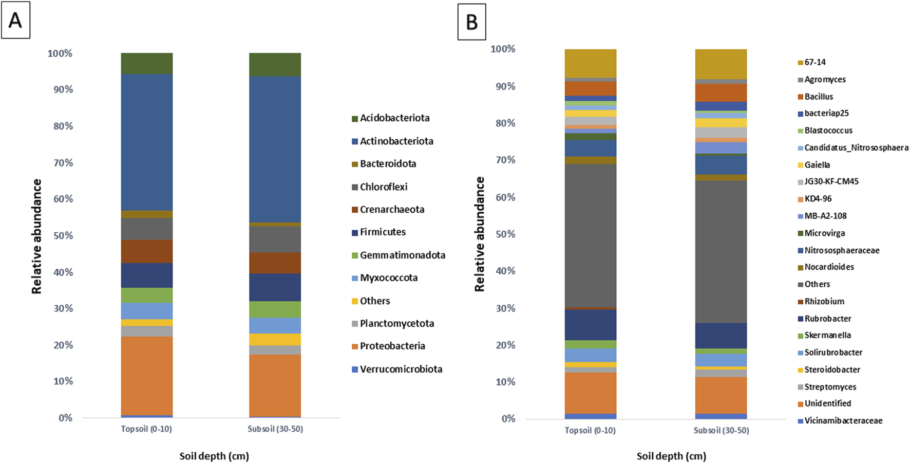 Two stacked bar charts labeled A and B compare the relative abundance of microbial groups at two soil depths: topsoil (0-10 cm) and subsoil (30-50 cm). Chart A displays various bacterial phyla such as Acidobacteriota and Proteobacteria with different proportions. Chart B details specific bacterial genera including Agromyces and Streptomyces. Each segment in the bars is color-coded, with a legend indicating the corresponding microbial group. Both charts demonstrate the varying microbial composition at different soil depths.