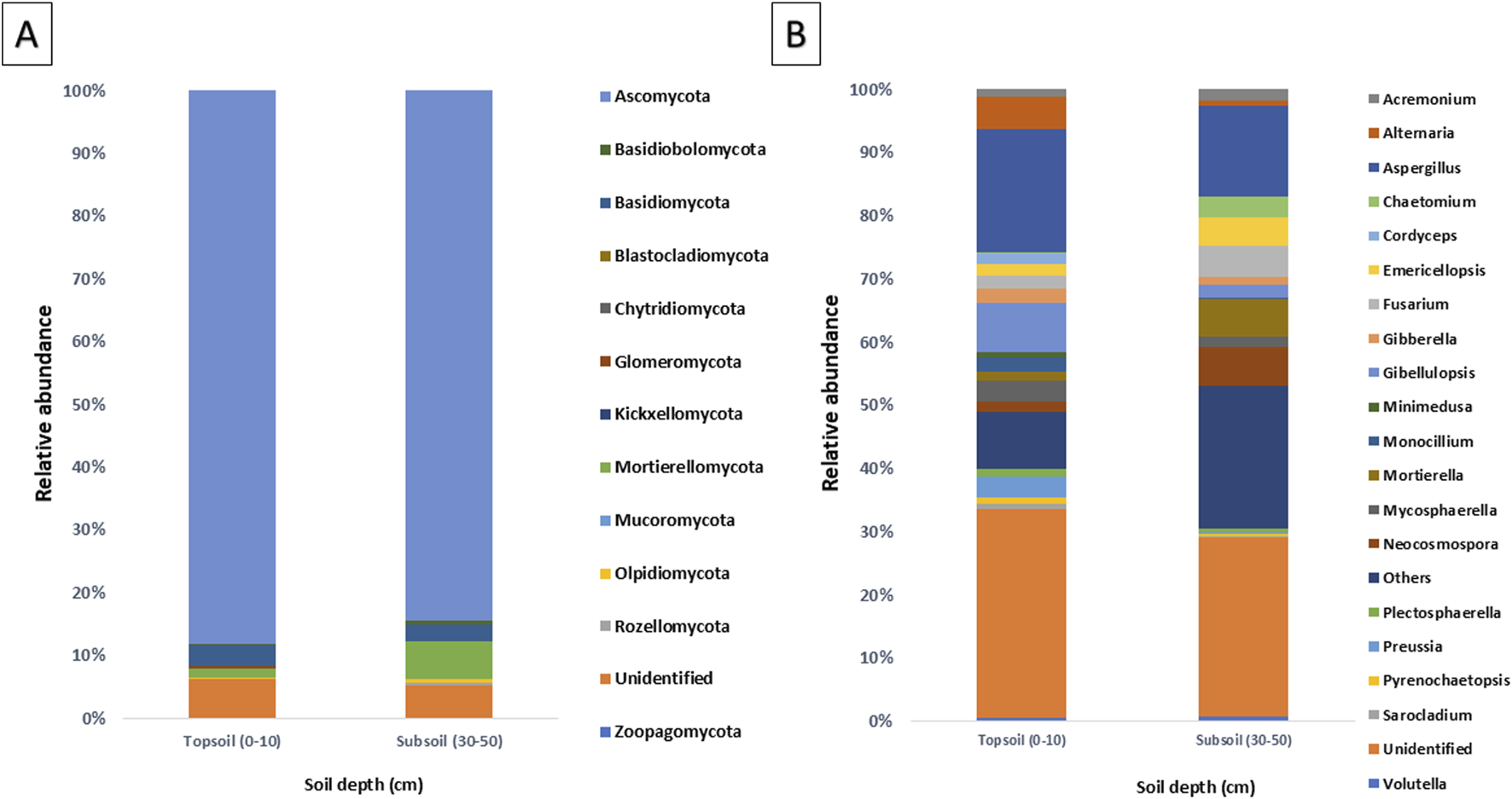 Bar charts displaying fungal community composition at two soil depths, topsoil (0-10 cm) and subsoil (30-50 cm). Chart A shows the relative abundance of fungal phyla, with Ascomycota being dominant. Chart B presents the relative abundance of specific fungal genera, highlighting diversity at each depth. Both charts use color coding to differentiate categories.