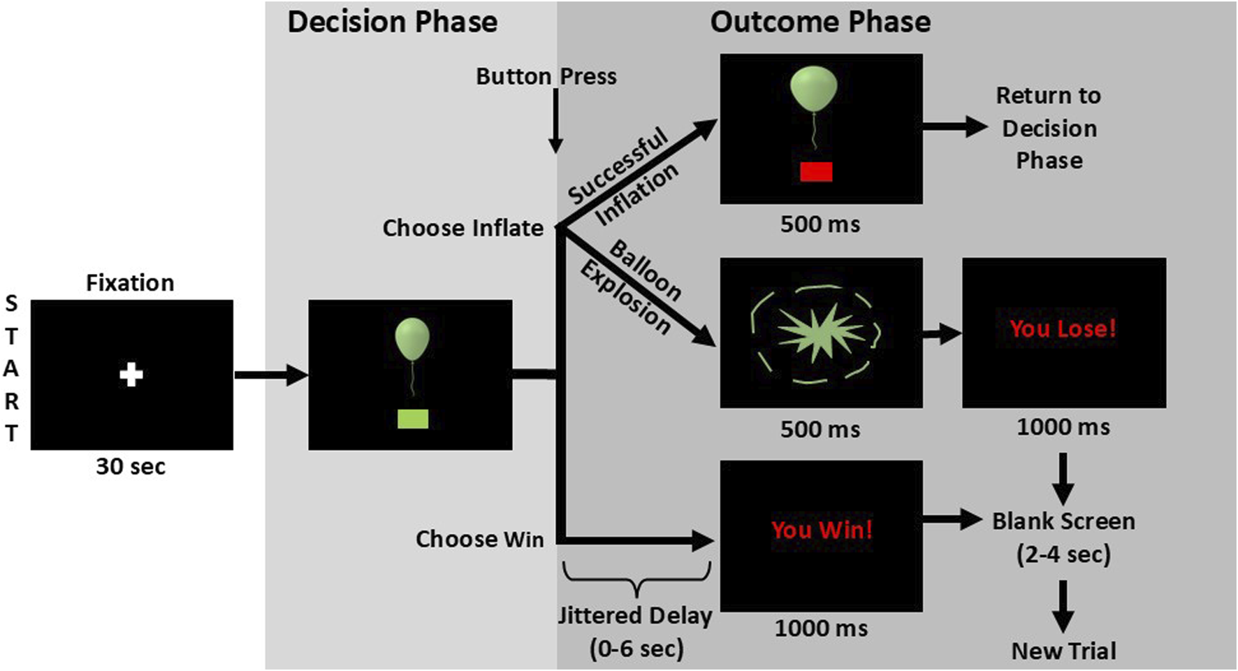 Task starts with a fixation screen for 30 seconds followed by a choice between “inflate” or “win.” Inflating can lead to two possible outcome phases: a successful inflation and loop back to the decision phase, or a balloon explosion showing “You Lose” for one thousand milliseconds, followed by a blank screen for two to four seconds, leading to a new trial. Choosing “win” shows “You Win” as the outcome phase for one thousand milliseconds, followed by a blank screen for two to four seconds, leading to a new trial.