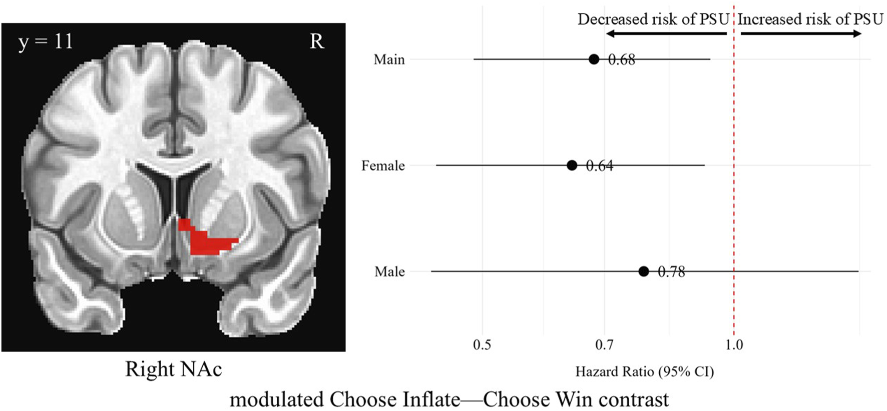 MRI scan of the brain indicating the right nucleus accumbens (NAc) with a red highlight during modulated choose inflate- choose win contrast. Adjacent is a hazard ratio chart with three lines labeled Main, Female, and Male, showing risks of PSU. Hazard ratios are 0.68 for Main, 0.64 for Female, and 0.78 for Male, indicating decreased risk of PSU, with a red reference dotted line of no effect at 1.0.
