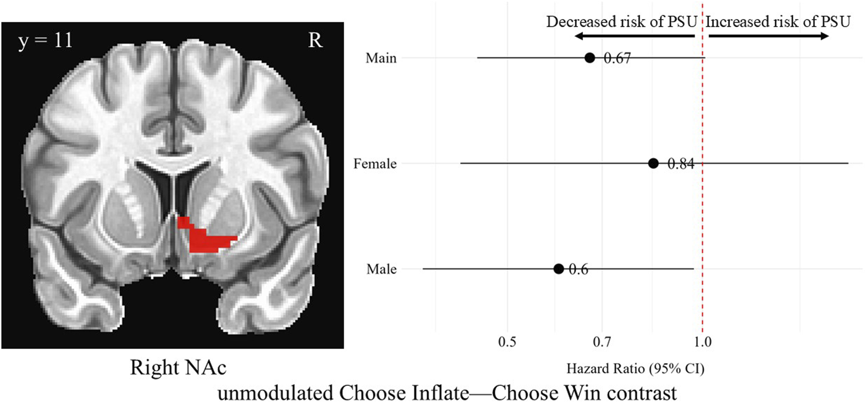 MRI scan of the brain indicating the right nucleus accumbens (NAc) with a red highlight during unmodulated choose inflate- choose win contrast. Adjacent is a hazard ratio chart with three lines labeled Main, Female, and Male, showing risks of PSU. Hazard ratios are 0.67 for Main, 0.84 for Female, and 0.60 for Male, indicating decreased risk of PSU, with a red reference dotted line of no effect at 1.0.