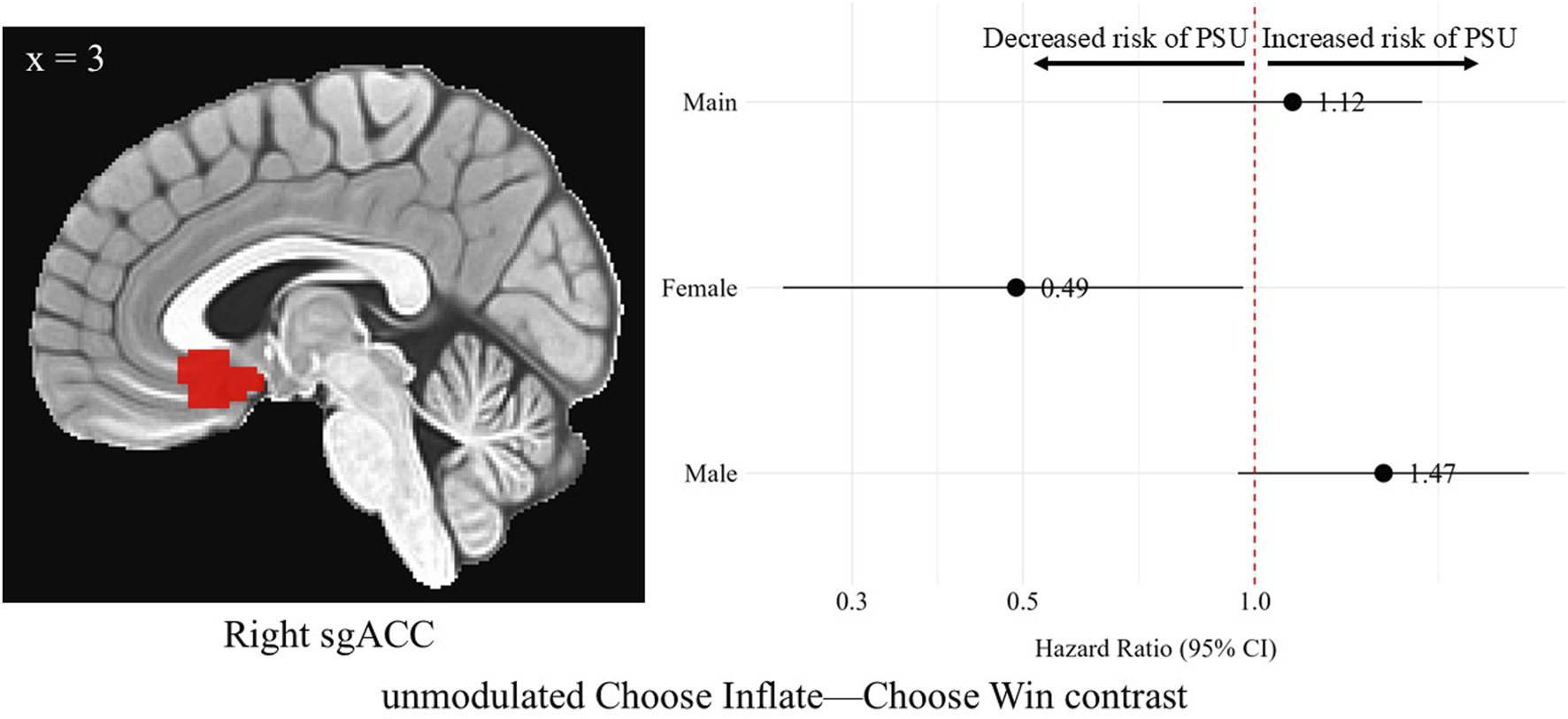 MRI scan of the brain indicating the right subgenual anterior cingulate cortex (sgACC) with a red highlight during unmodulated choose inflate- choose win contrast. Adjacent is a hazard ratio chart with three lines labeled Main, Female, and Male, showing risks of PSU. Hazard ratios are 1.12 for Main, 0.49 for Female, and 1.47 for Male, indicating increased, decreased, and increased risk of PSU, respectively, with a red reference dotted line of no effect at 1.0.