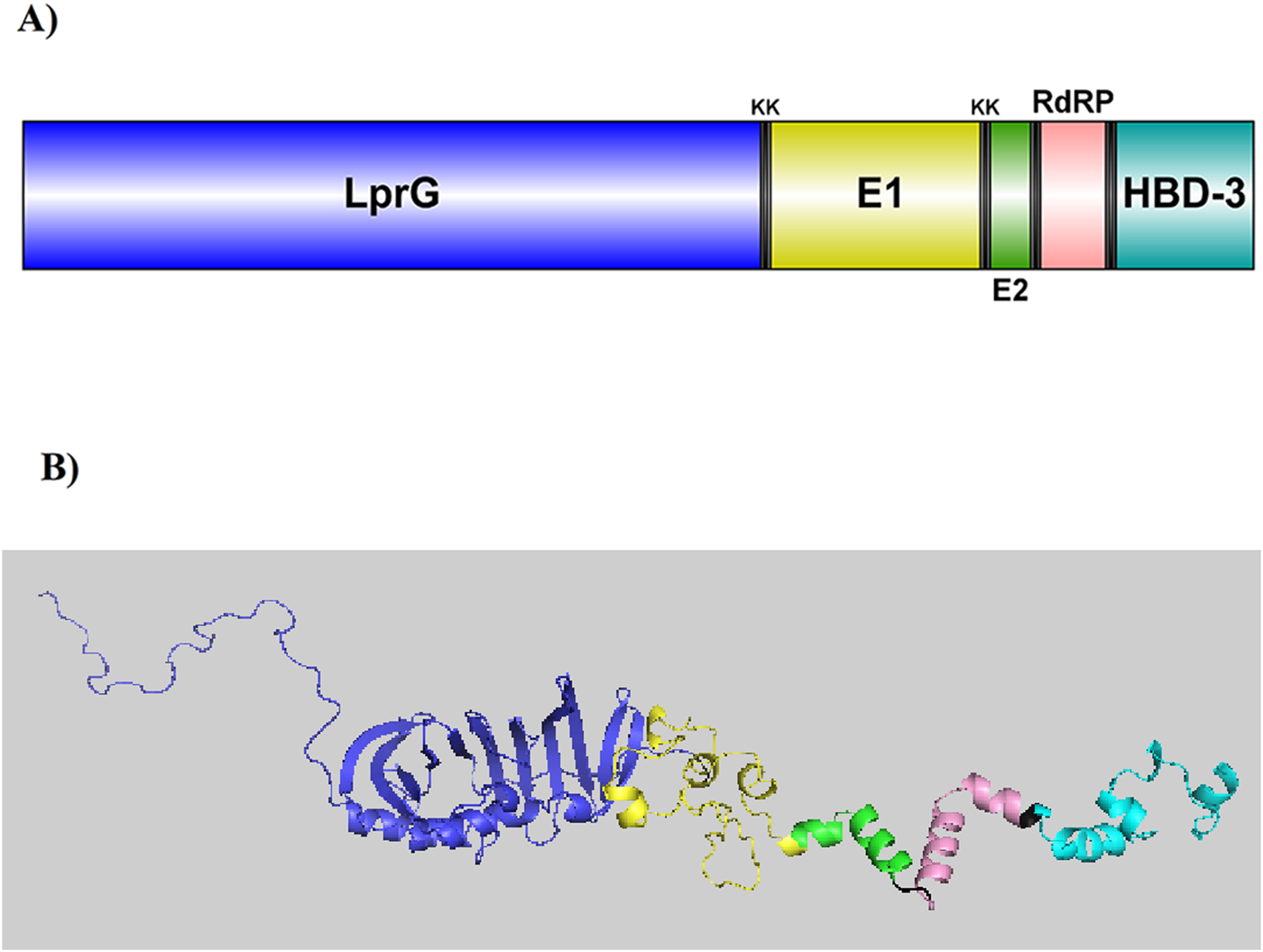 Diagram A depicts a protein sequence map with segments labeled LprG, E1, RdRP, and HBD-3, colored in blue, yellow, green, pink, and teal respectively. Diagram B shows a ribbon model of a protein structure with corresponding color segments, including coils and helices.