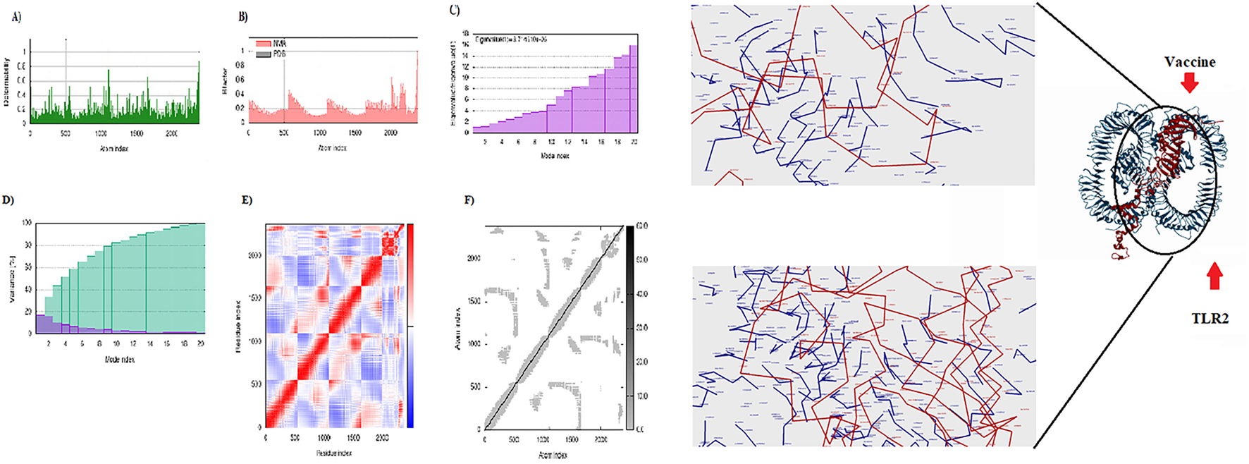 Multiple plots and diagrams illustrate data analysis and molecular interactions related to vaccine design. Chart A presents discernibility versus atom index with green bars. Chart B shows histograms for NMA across atom indices. Chart C displays purple histograms for eigenvalues across node indices. Chart D indicates variance percentage across node indices with teal and purple sections. Chart E is a heat map of residue indices with red and blue colors. Chart F shows a gray scale plot with atom indices. Diagrams depict molecular structures with blue and red lines, connecting to detailed molecular models labeled Vaccine and TLR2.
