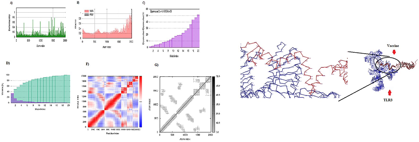 Graphs and diagrams depict different analyses and structures. A shows a green line graph of deformability versus atom index. B features a red area histogram comparing NMA. C is a purple bar chart of eigenvalue distributions. D displays a variance percentage bar chart in turquoise and purple. F is a heatmap with red and blue color gradients. G shows a gray plot with atom and atom indices. The right side illustrates two intertwined structures in red and blue labeled vaccine and TLR3, with arrows highlighting specific regions.