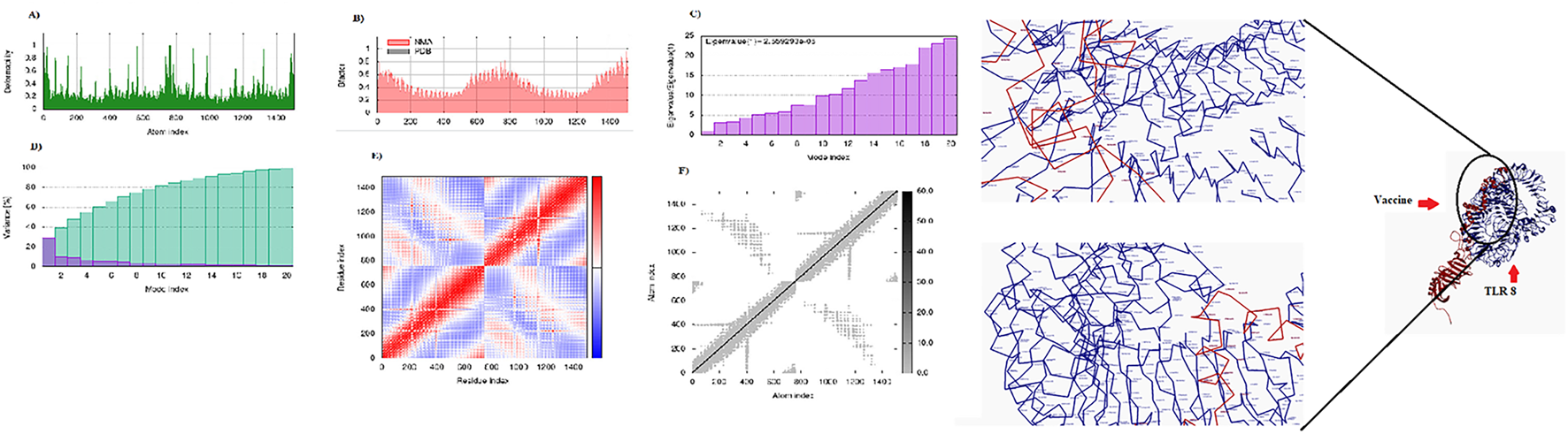 Graphs and visual data of a molecular docking study. Panel A displays a green graph showing deformity by atom index. Panel B compares NMA using a red shaded area plot. Panel C shows eigenvalue distribution using a bar chart. Panel D uses a bar chart for variance across mode indexes. Panel E is a color-coded matrix of residue interactions. Panel F displays a dot plot of atom index relationships. The right side shows structural diagrams with marked vaccine and TLR 8 interactions.
