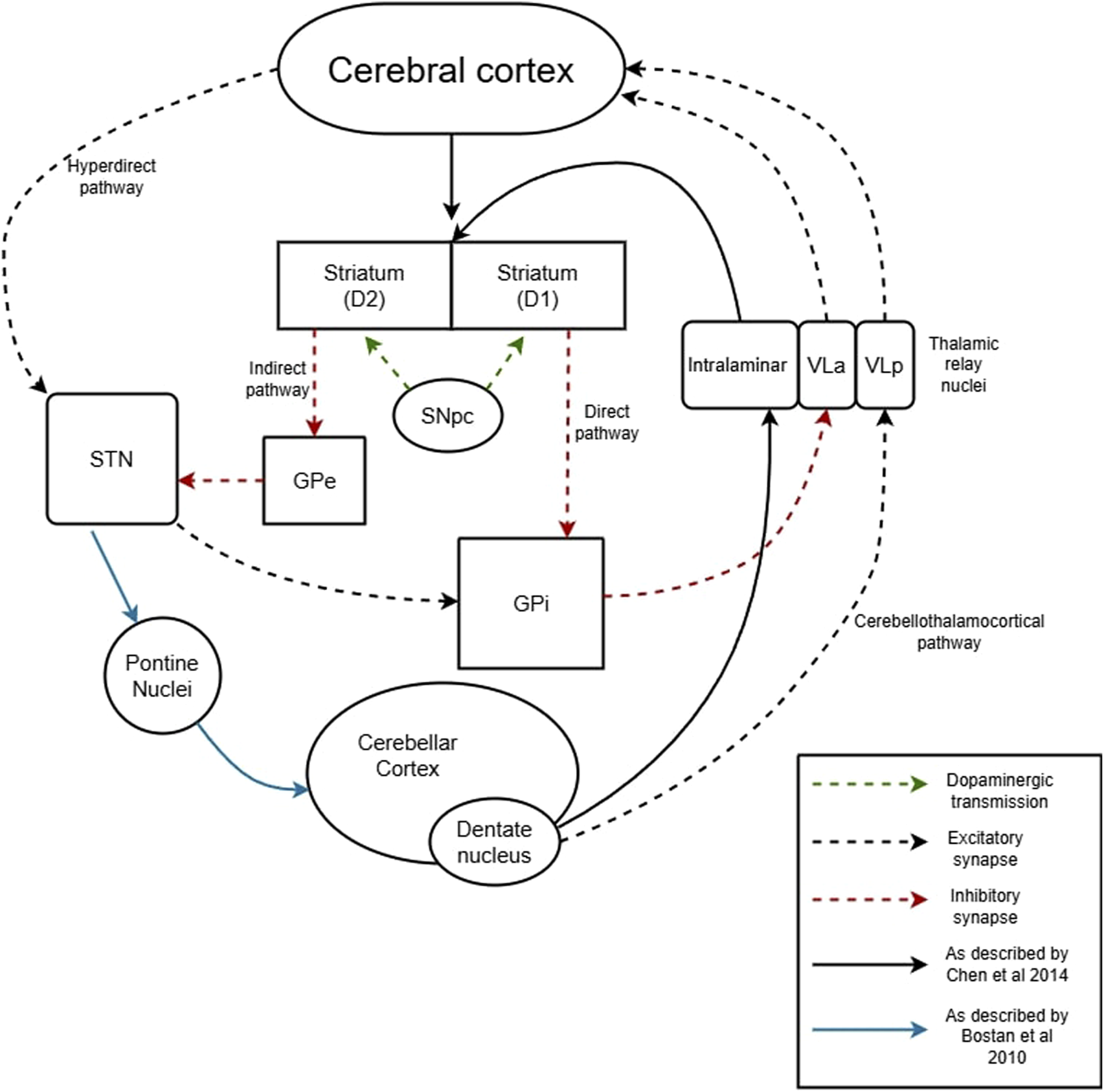 Diagram depicting neural pathways in the brain, including cerebral cortex, striatum (D1 and D2), GPi, GPe, STN, SNpc, intralaminar nuclei, Vla, Vlp, pontine nuclei, cerebellar cortex, and dentate nucleus. It illustrates hyperdirect, direct, indirect, and cerebellothalamocortical pathways. Pathways are color-coded: excitatory (black), inhibitory (red), dopaminergic (green), Chen et al. 2014 (black solid lines), Bostan et al. 2010 (blue).