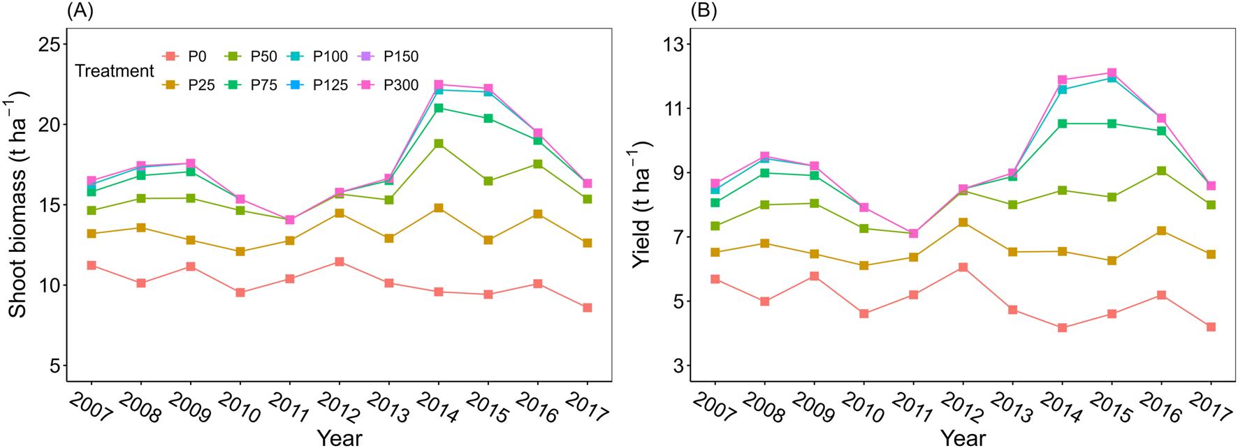 Line graphs showing shoot biomass and yield from 2007 to 2017 under different treatments. Graph A displays shoot biomass, ranging from 5 to 25 t ha⁻¹, with treatments P0, P25, P50, P75, P100, P125, P150, and P300. Graph B shows yield, ranging from 3 to 13 t ha⁻¹, with the same treatments. Each line represents a different treatment, showing distinct trends over time.