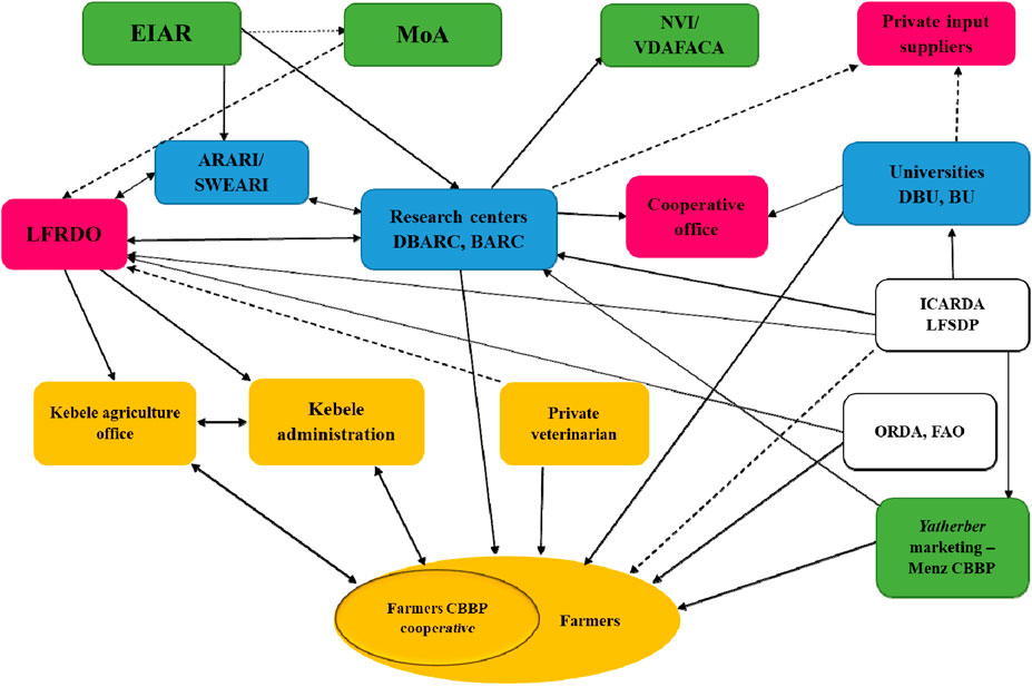 Flowchart depicting relationships between various agricultural and research entities. Entities include EIAR, MoA, LFRDO, ARARI/SWEARI, DBARC, BARC, universities, and private suppliers. Arrows indicate interactions among entities, including research centers, cooperative offices, and kebele offices, highlighting the collaboration with farmers and CBPP initiatives. The mapping was done for stakeholders participating in the community-based breeding program.