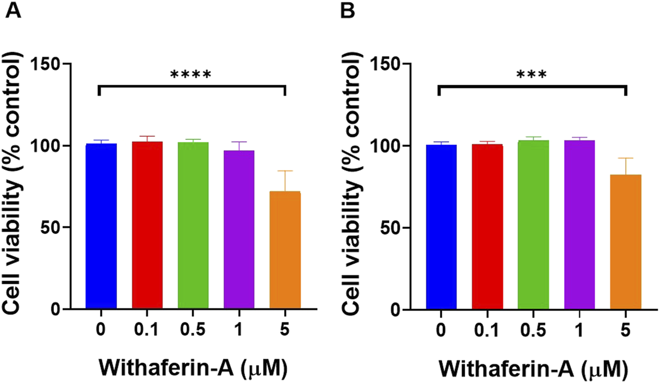 Bar graphs labeled A and B show cell viability as a percentage of control with varying concentrations of Withaferin-A (0 to 5 micromolar). Both graphs indicate a significant decrease in cell viability at 5 micromolar. Statistical significance is marked with asterisks.